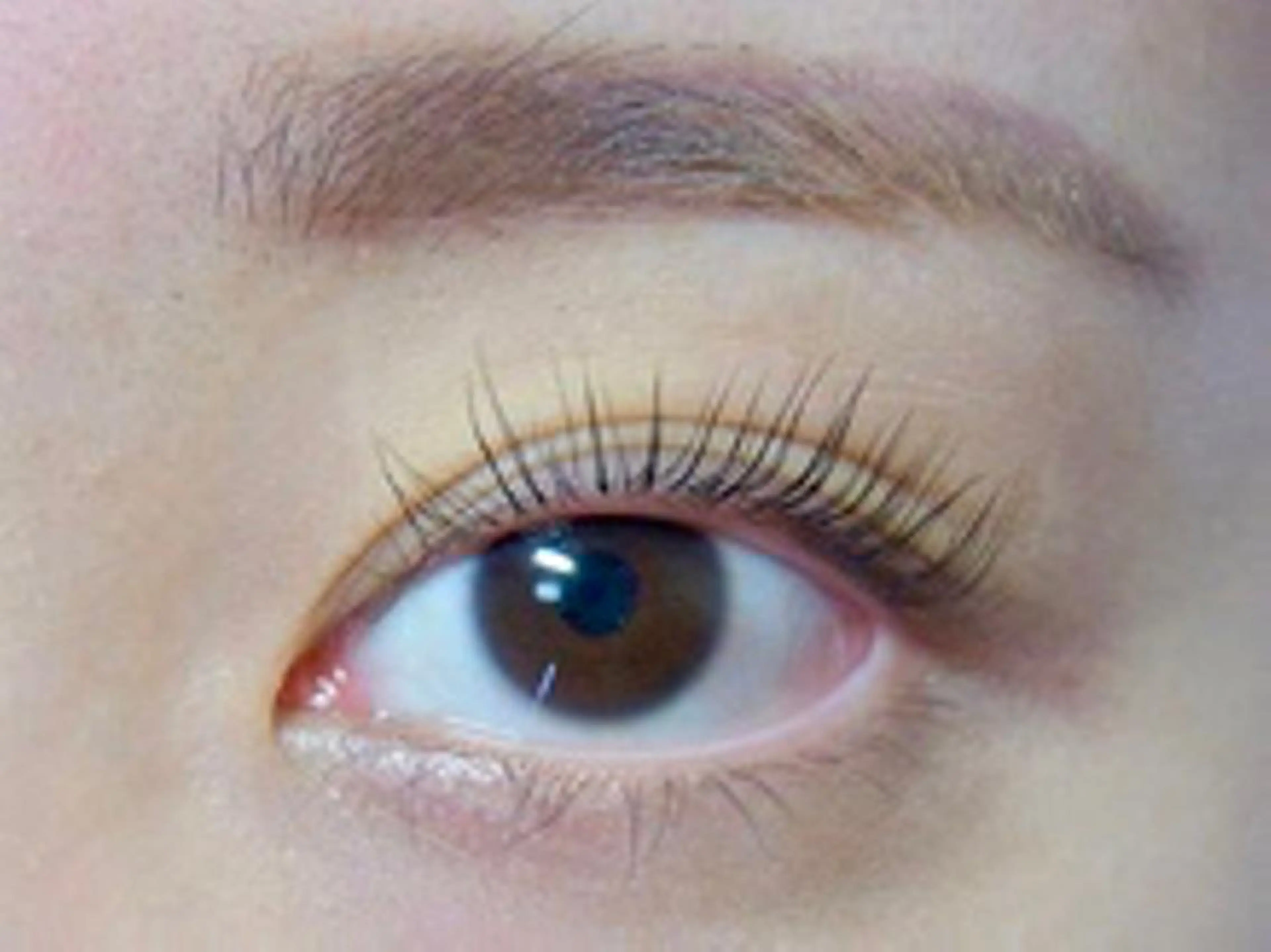 マツエク・マツパ RoseLash【青山一丁目徒歩1分】表参道所属・パリジェンヌ/まつパ RoseLashのマツエク・マツパデザイン