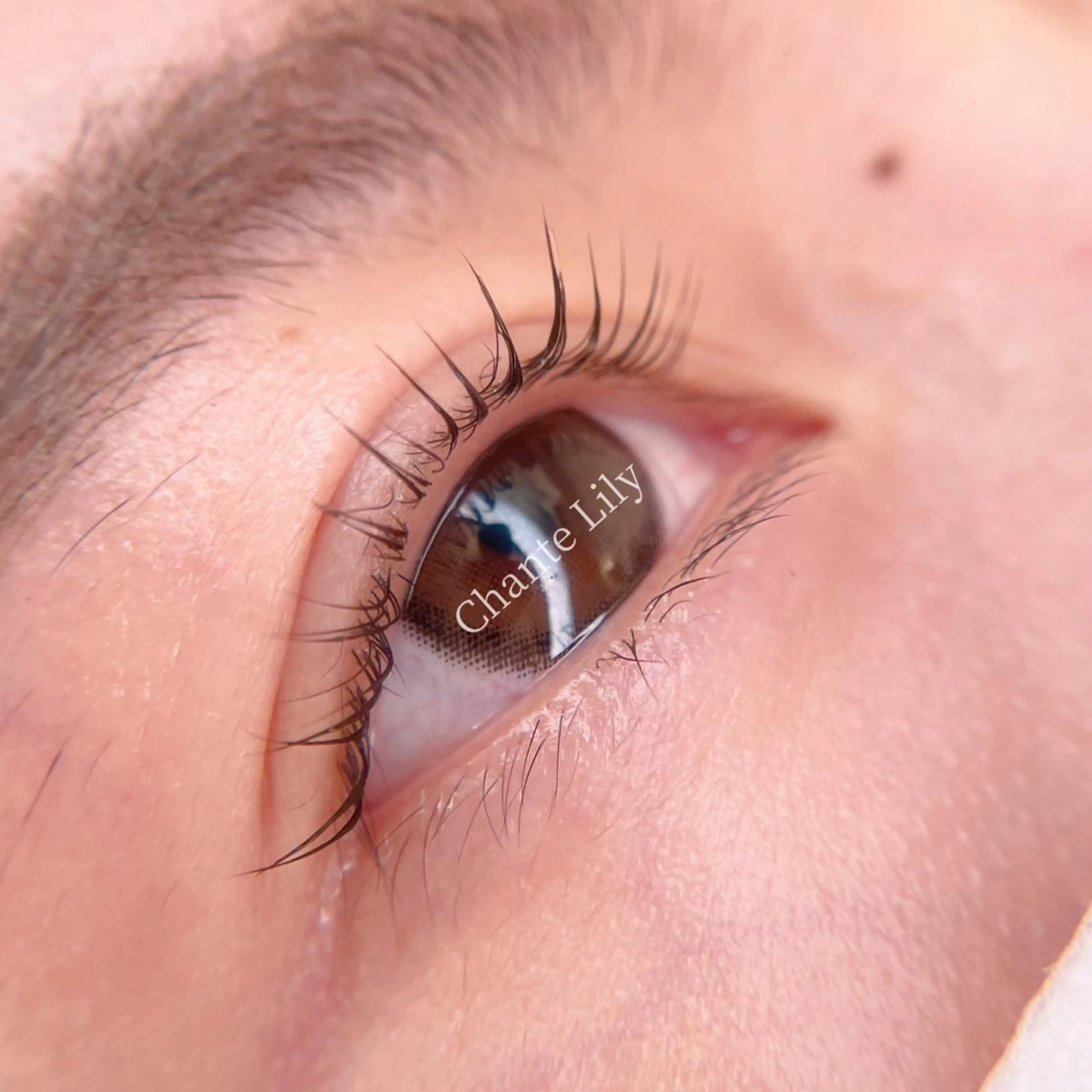 マツエク・マツパ 一重×まつ毛パーマ Chante Lily所属・森崎 麗のマツエク・マツパデザイン