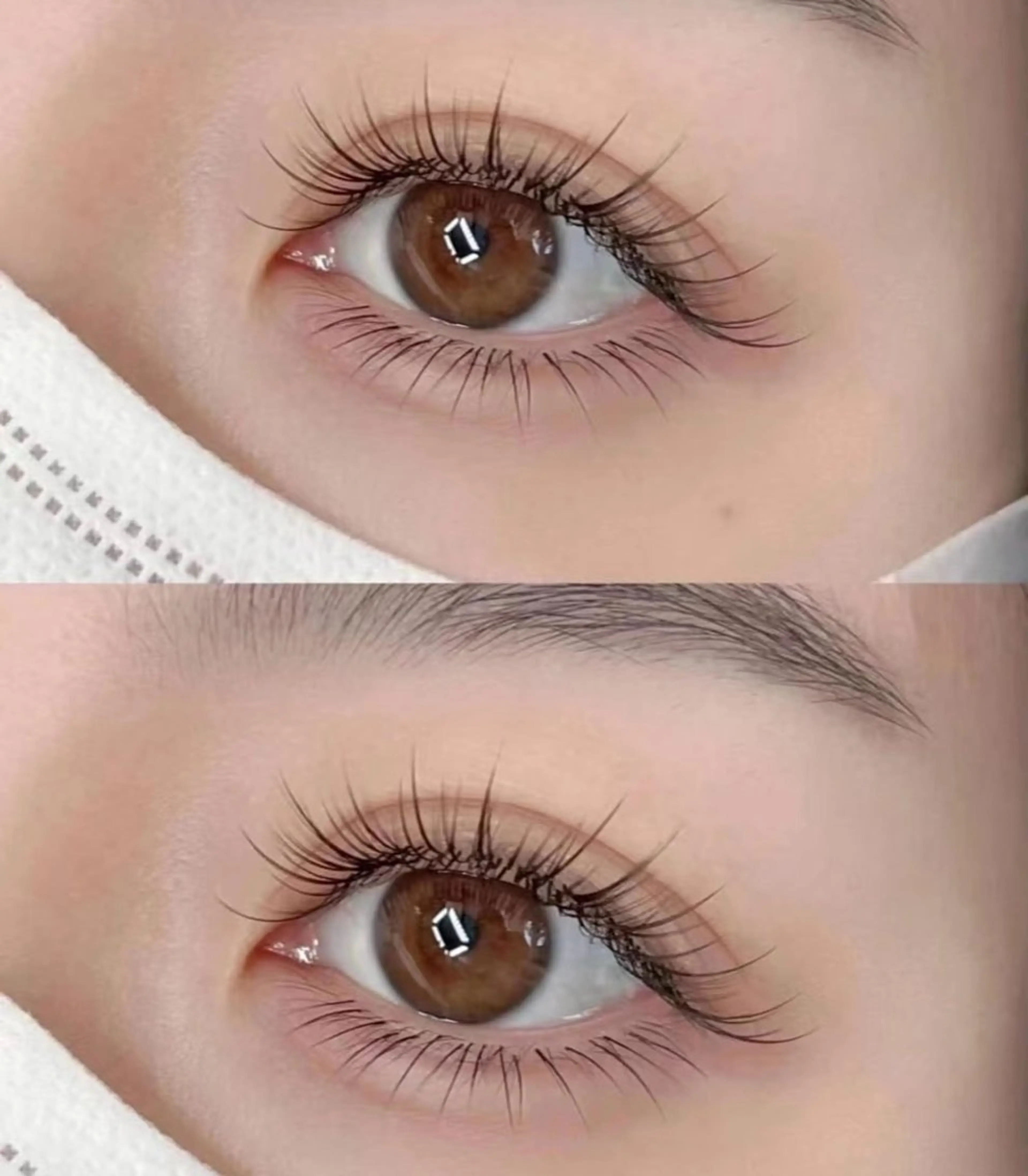 シングルフラットマットラッシュ 60本の写真