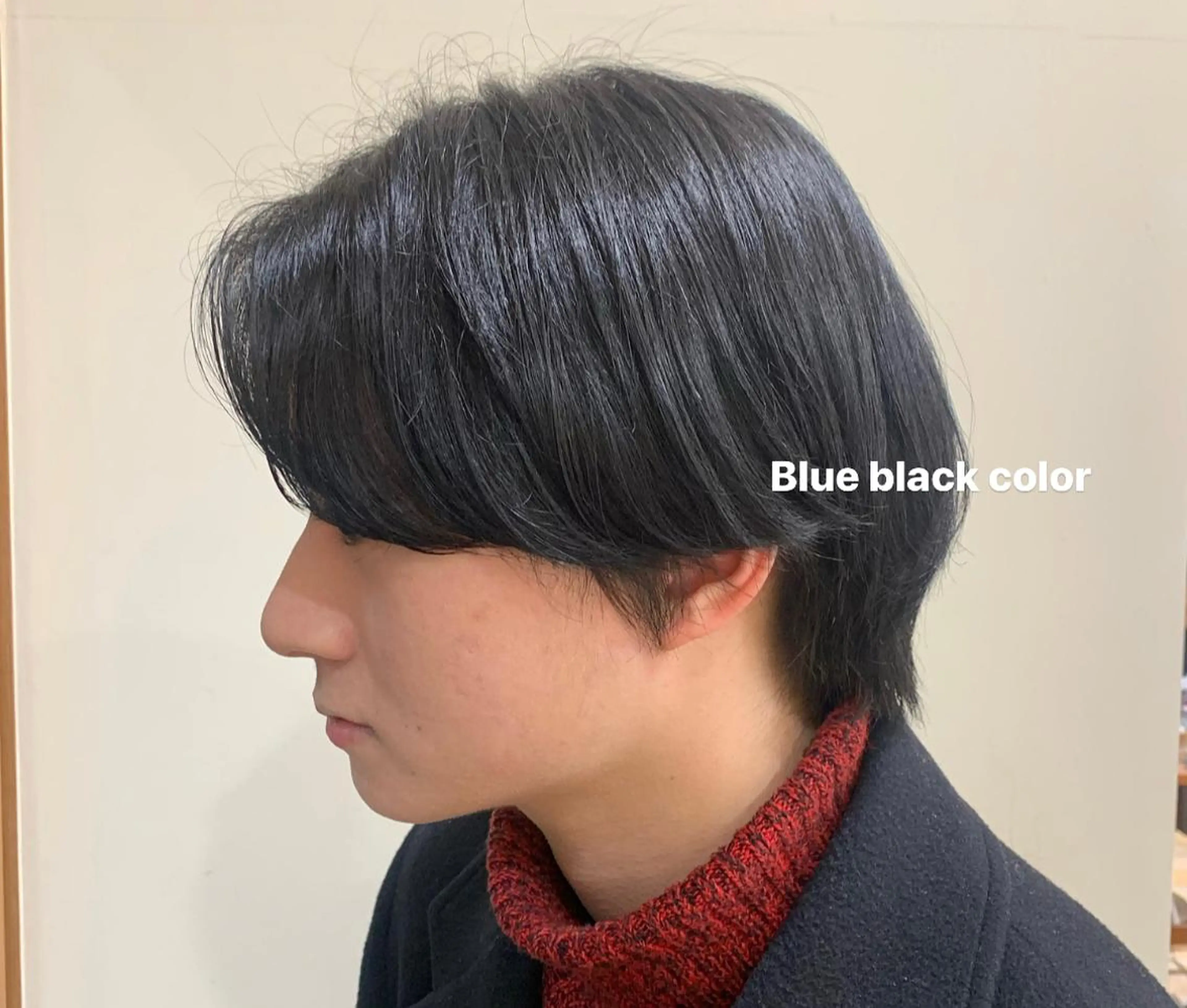 ショート カラー 黒髪 ブルーカラー ブルーブラック 🎀トレンドhair 🎀マリノのヘアスタイル