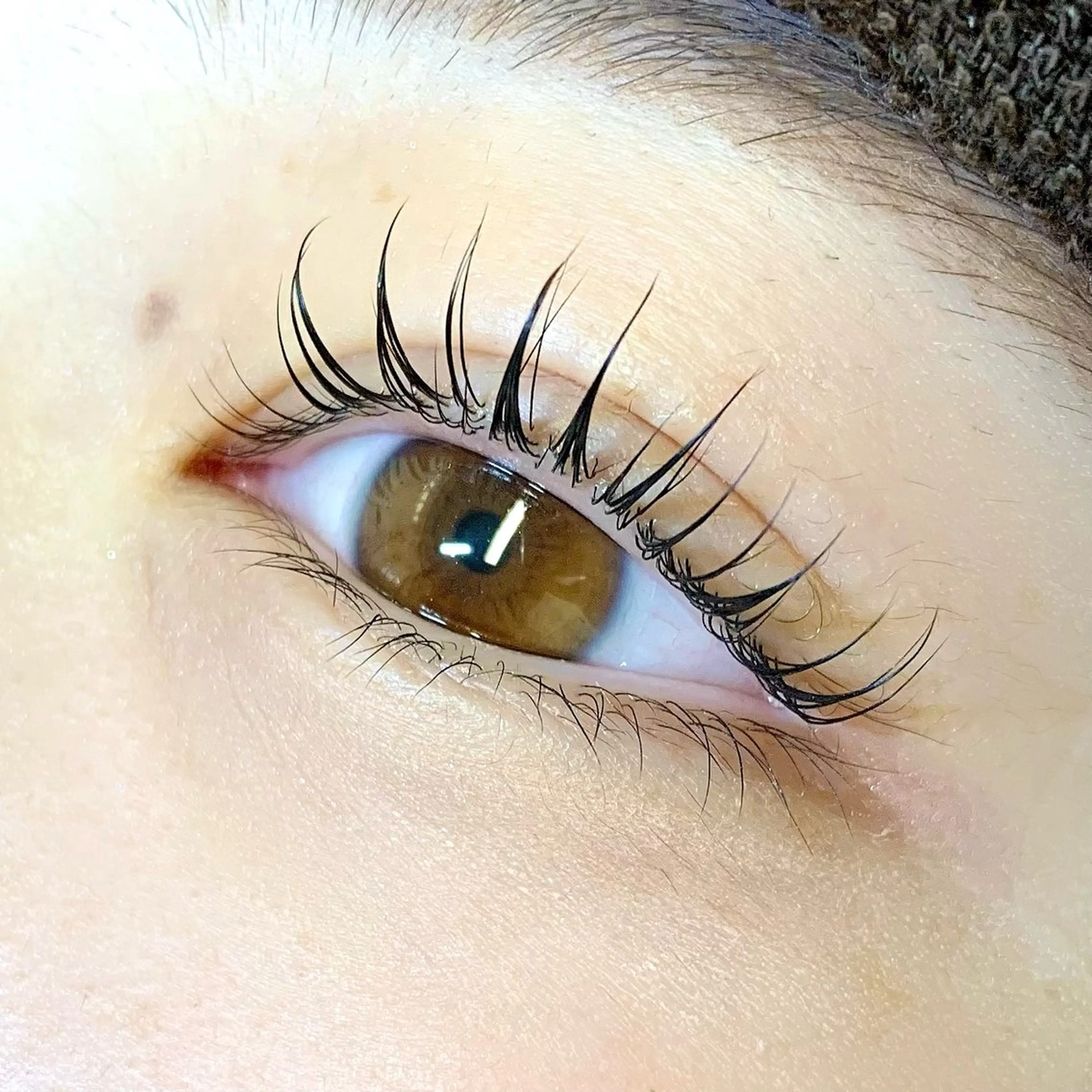 マツエク・マツパ ナチュラル まつげパーマ Daisy Lash たかとり みうのマツエク・マツパデザイン