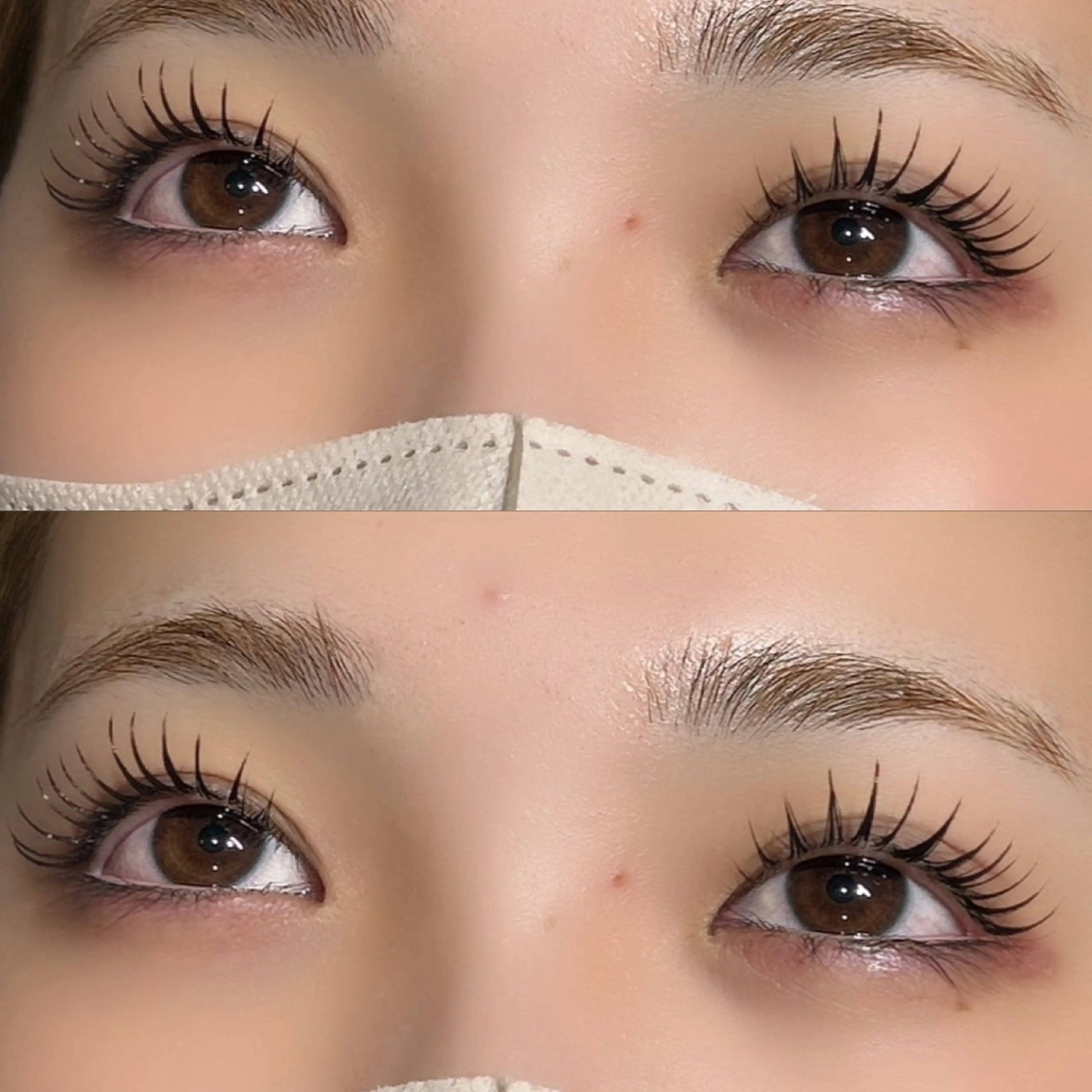フラットラッシュ100本の写真