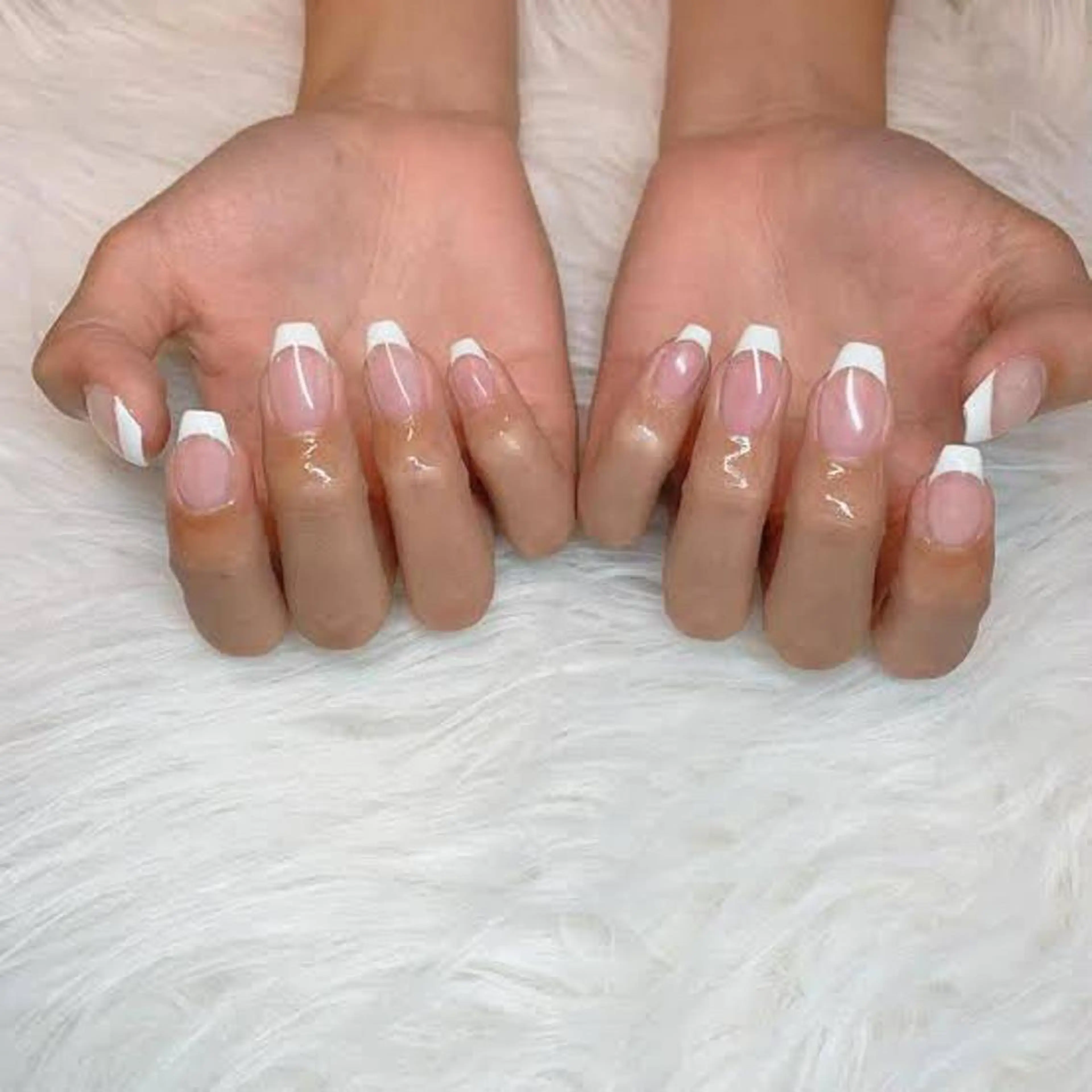 白フレンチの写真