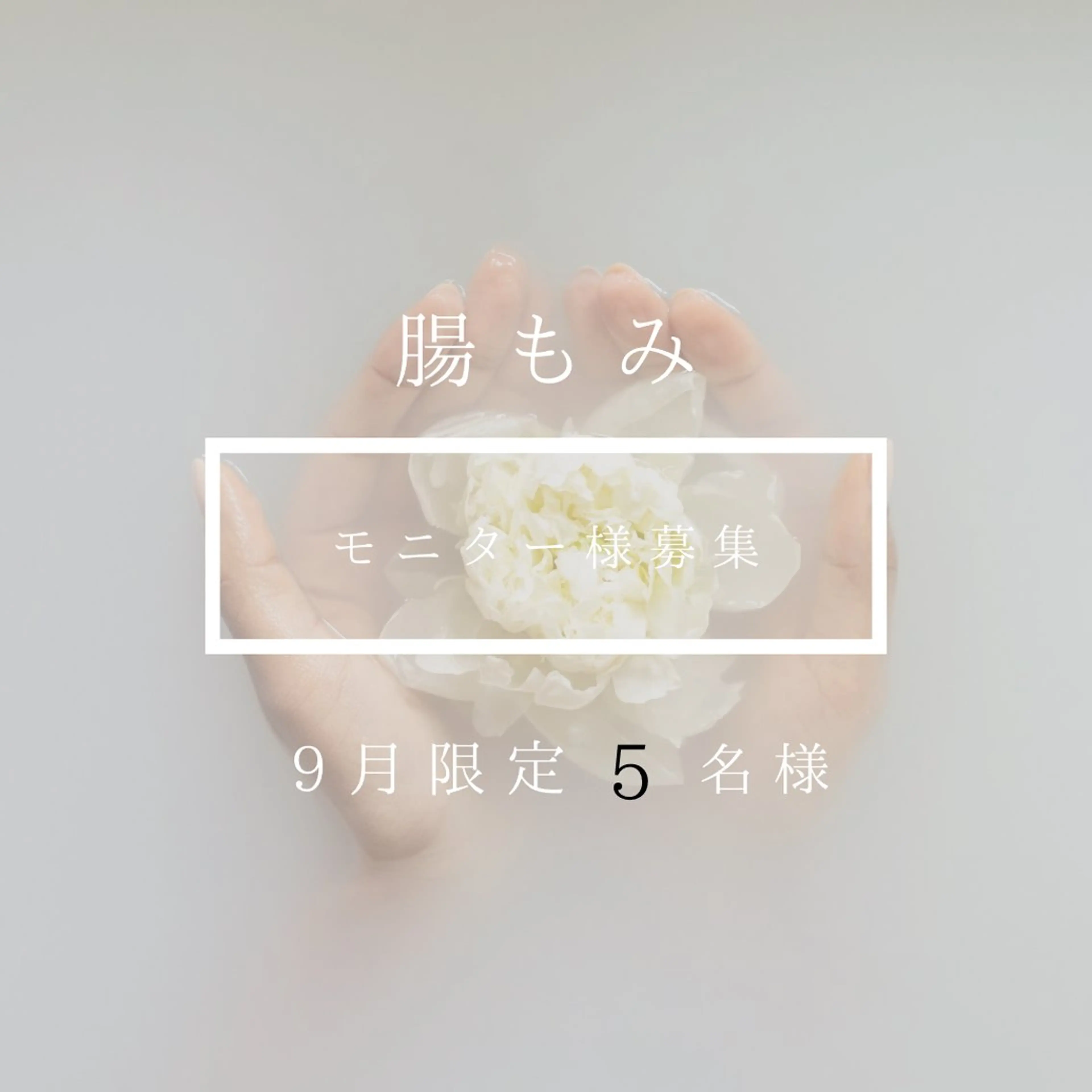 腸もみ モニター募集の写真