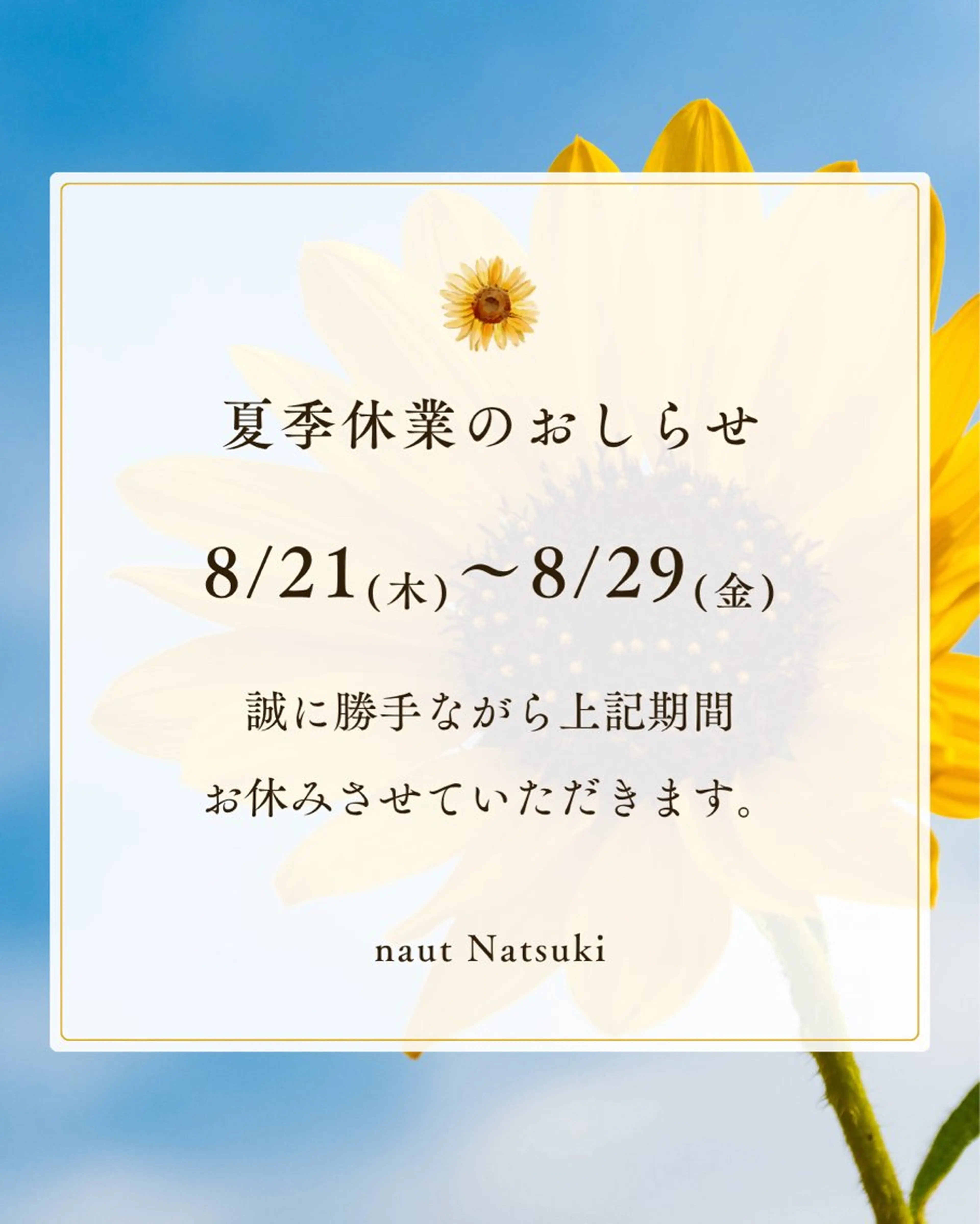 マツエク・マツパ マツパ 🧡ヘアまつ毛眉毛 🧡Natsukiのマツエク・マツパデザイン