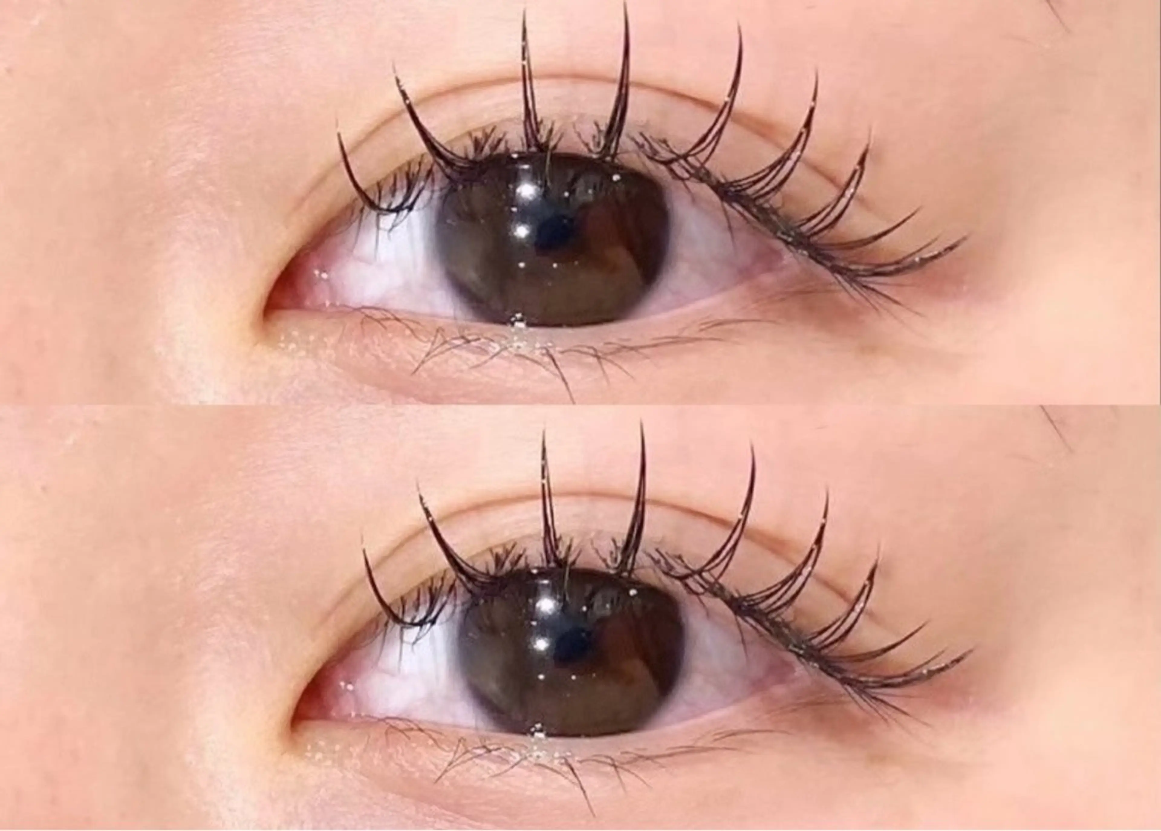 マツエク・マツパ eve🐰束間まつ毛 /透明感カラーのマツエク・マツパデザイン