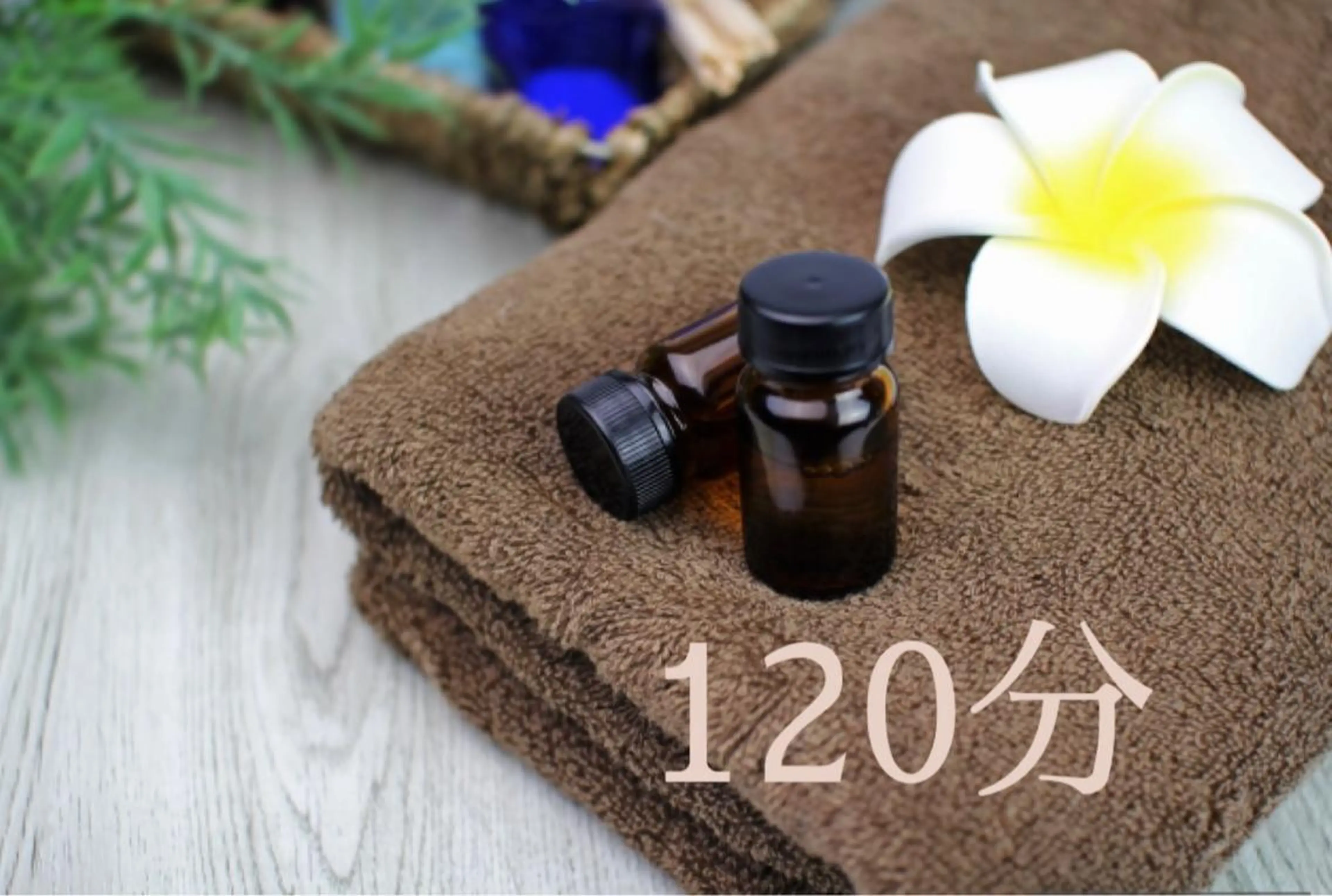 【時間だけ予約 120分】の写真