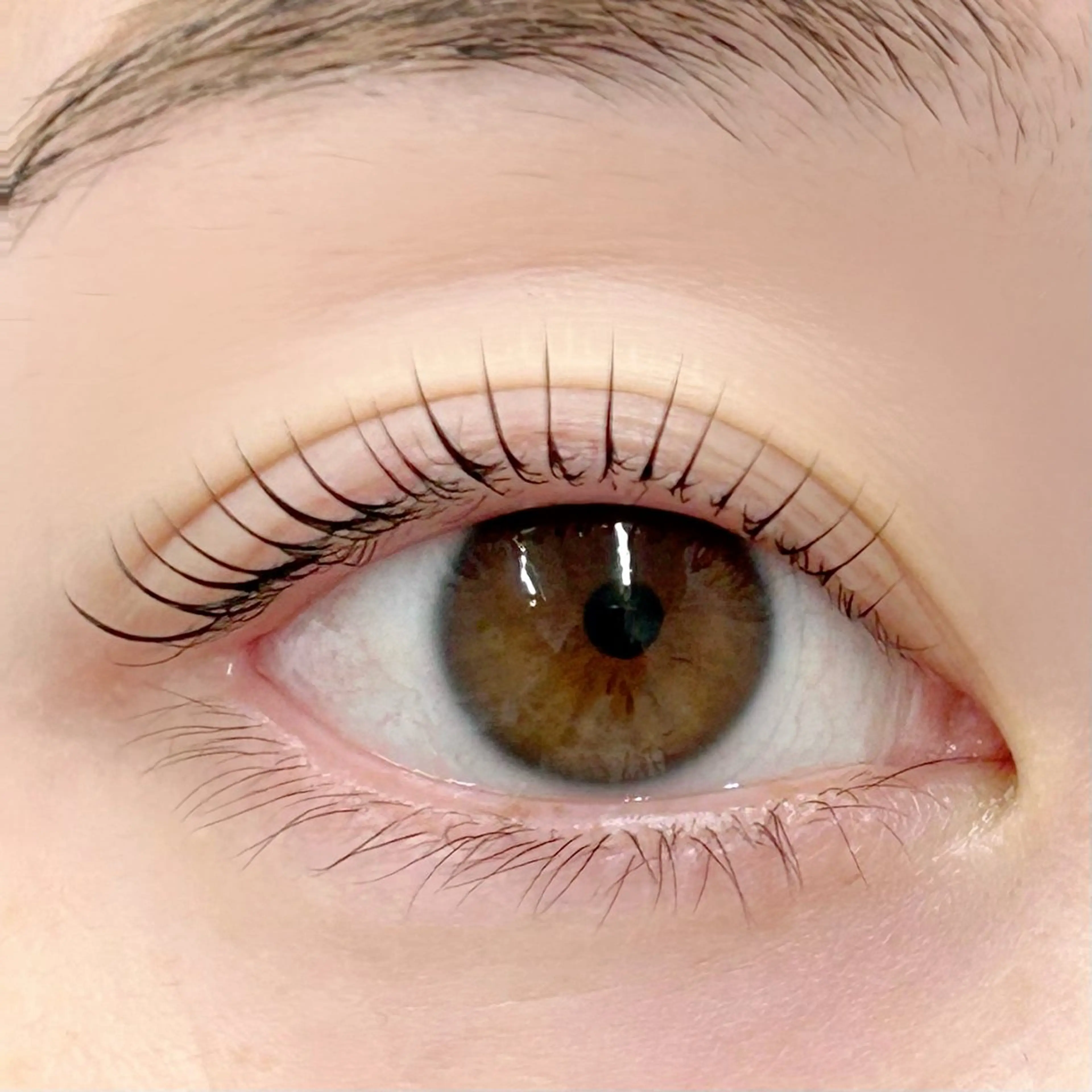 マツエク・マツパ パリジェンヌラッシュリフト 一重×まつ毛パーマ マツパ BellFlower Aki(眉・まつげ)のマツエク・マツパデザイン