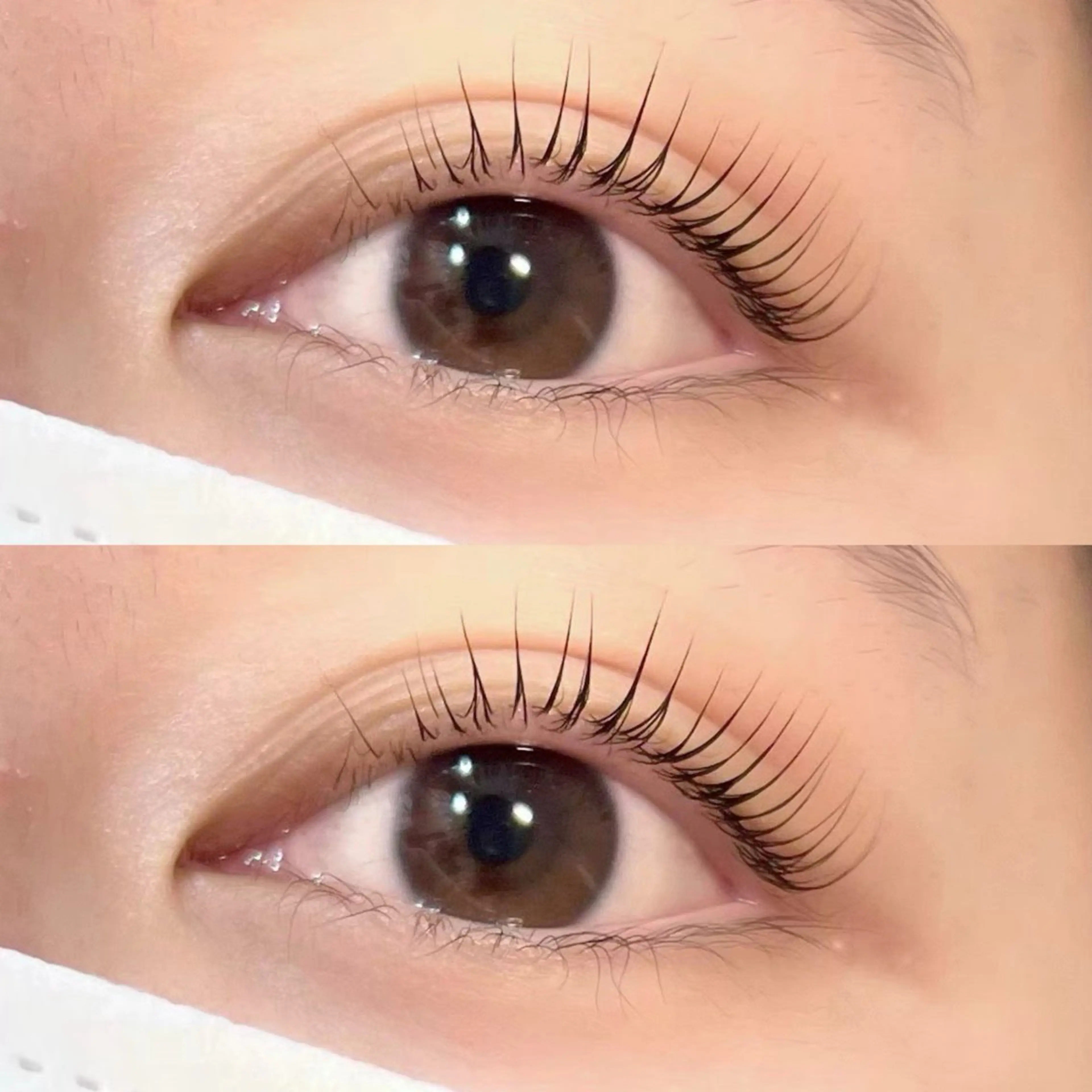 マツエク・マツパ マツパ eye+所属・eye+ YUKI🫧のマツエク・マツパデザイン