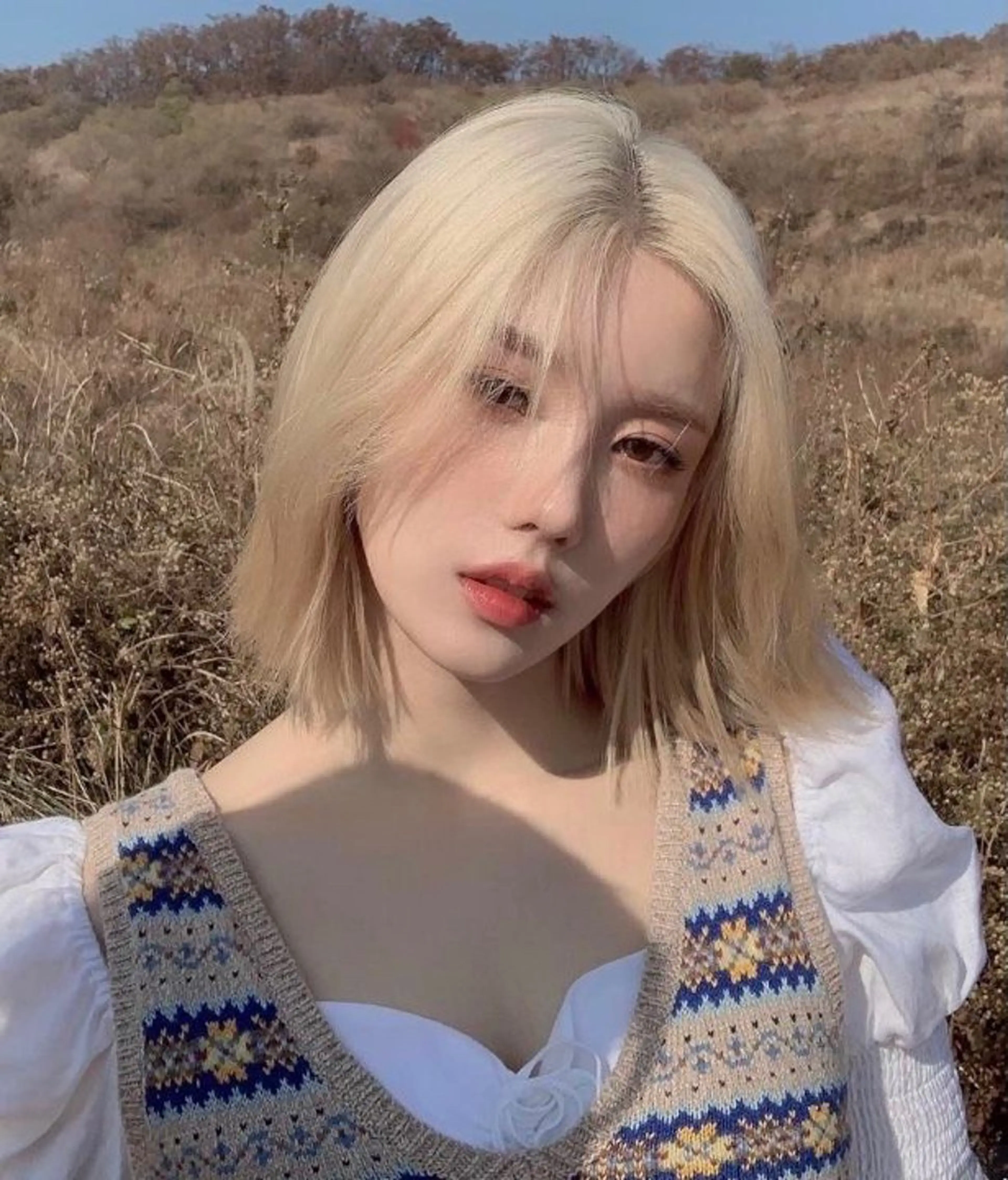 ミディアム カラー ハイトーンカラー ブリーチなし/透明感 /ショート/大世のヘアスタイル