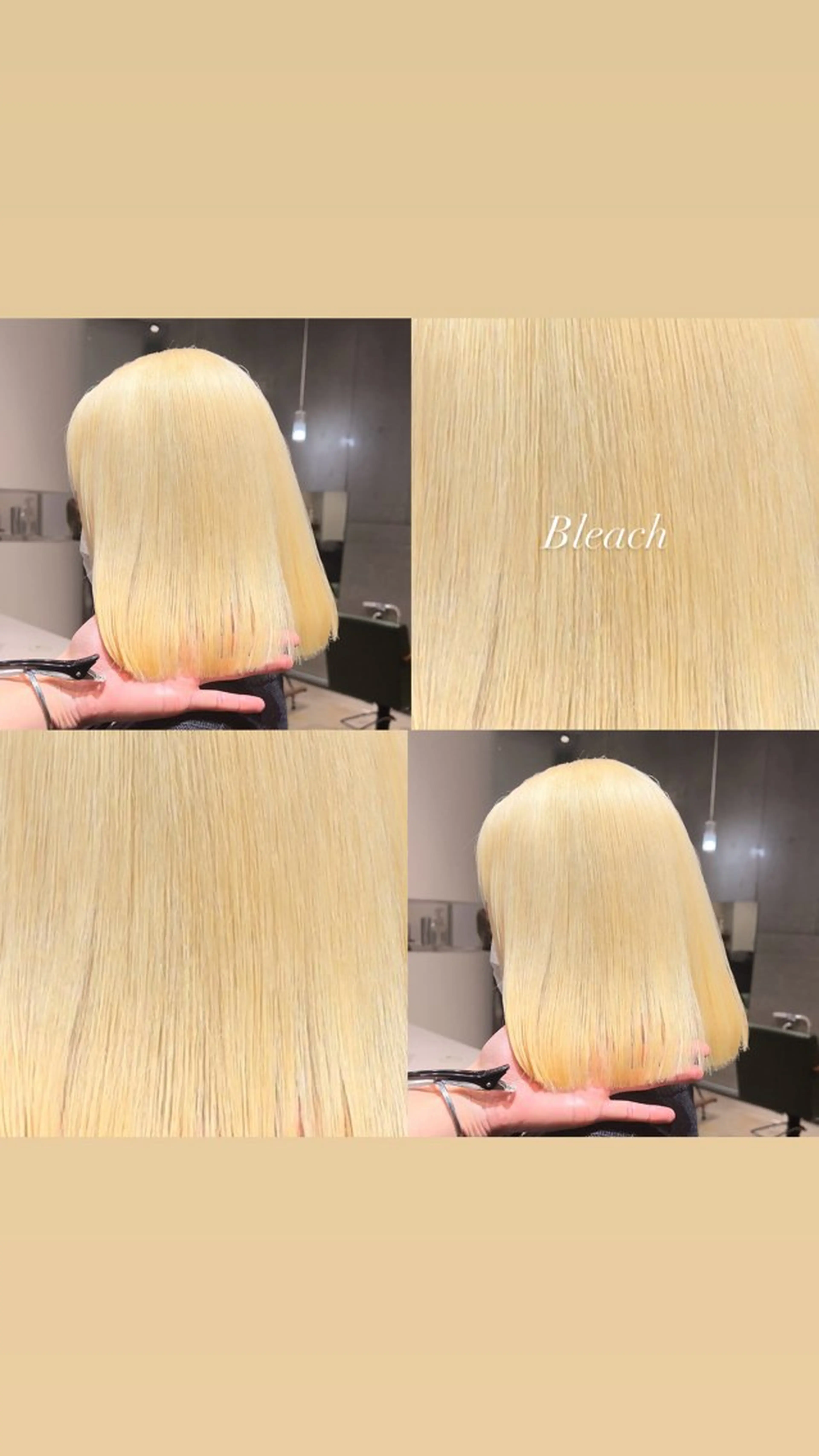 ブリーチの写真