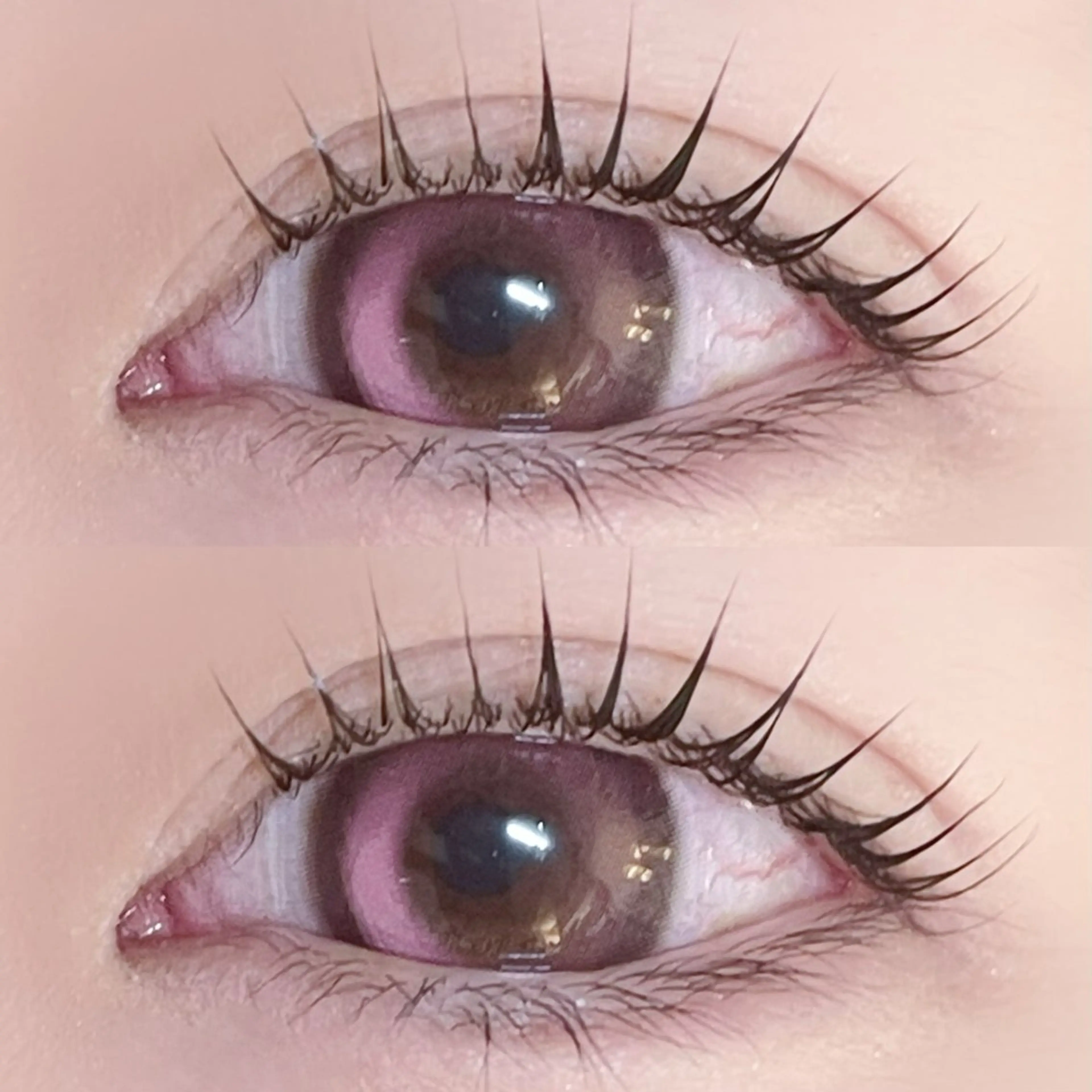 マツエク・マツパ マツパ Azuria恵比寿 🕊️Maayaのその他イメージ