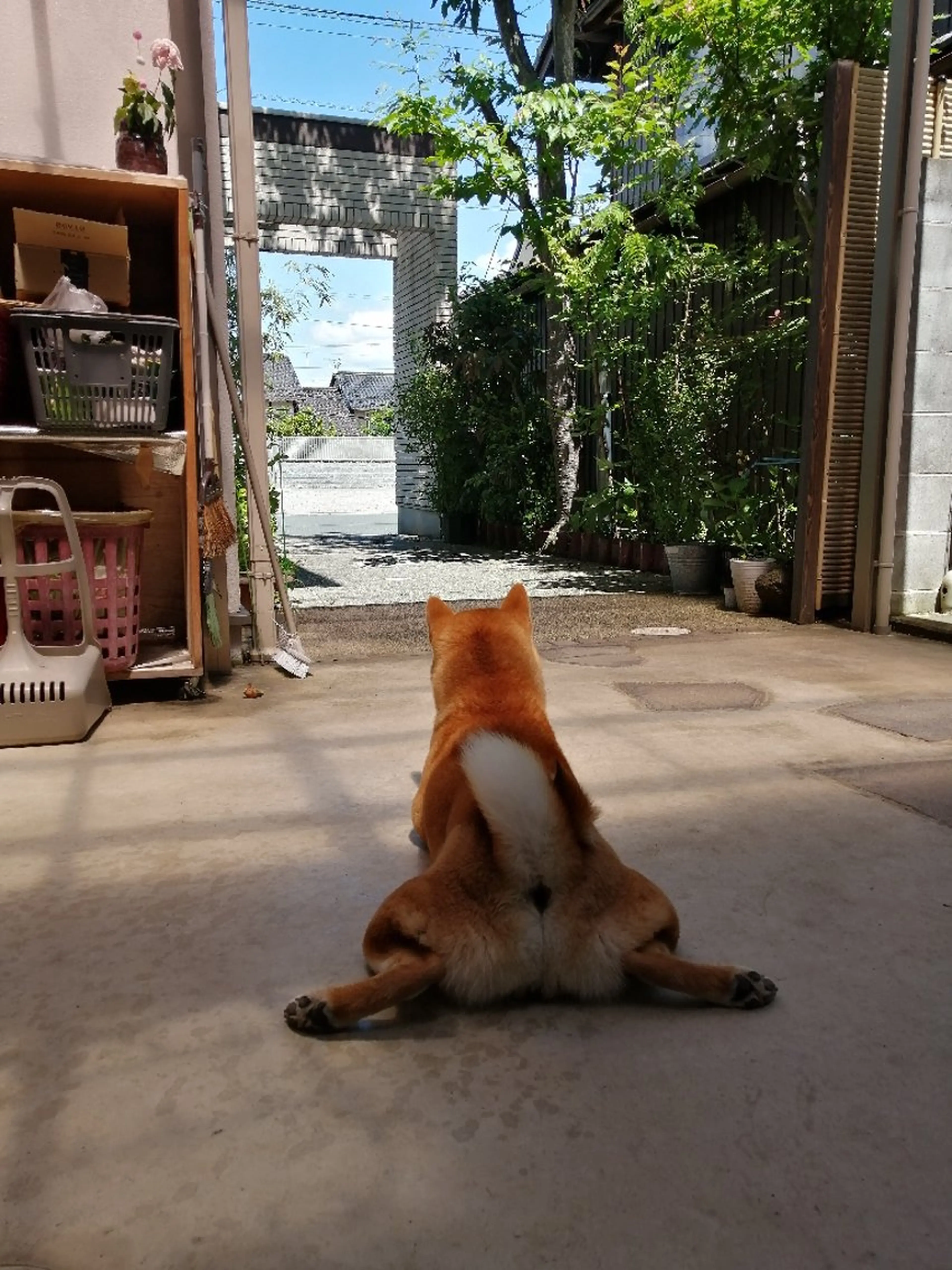 D/i所属・4店舗フリーランスⅠ Y/no〈夜のスパ〉のヘアスタイル