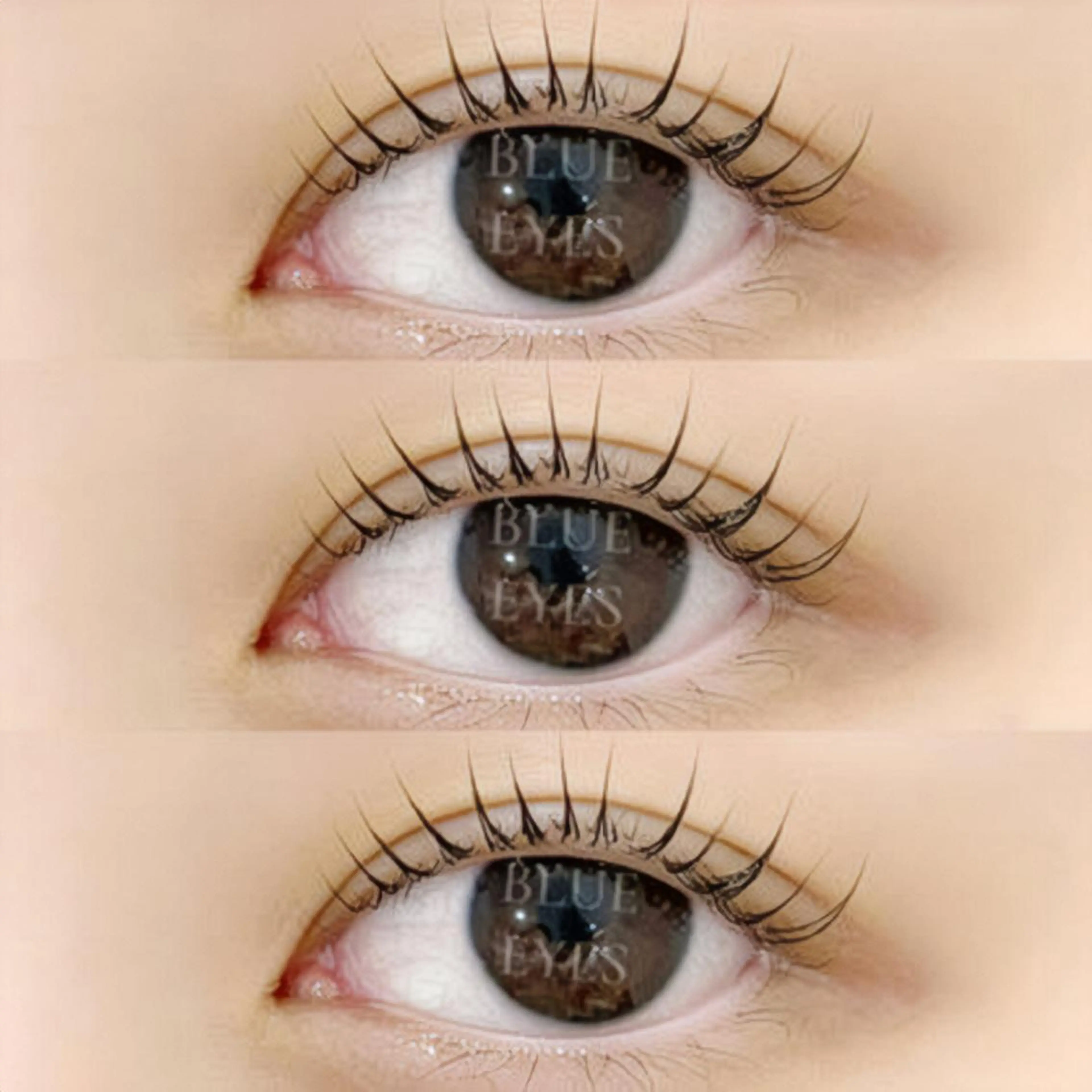 マツエク・マツパ マツパ 🦋表参道/原宿 🦋Chibaの眉毛・アイブロウイメージ