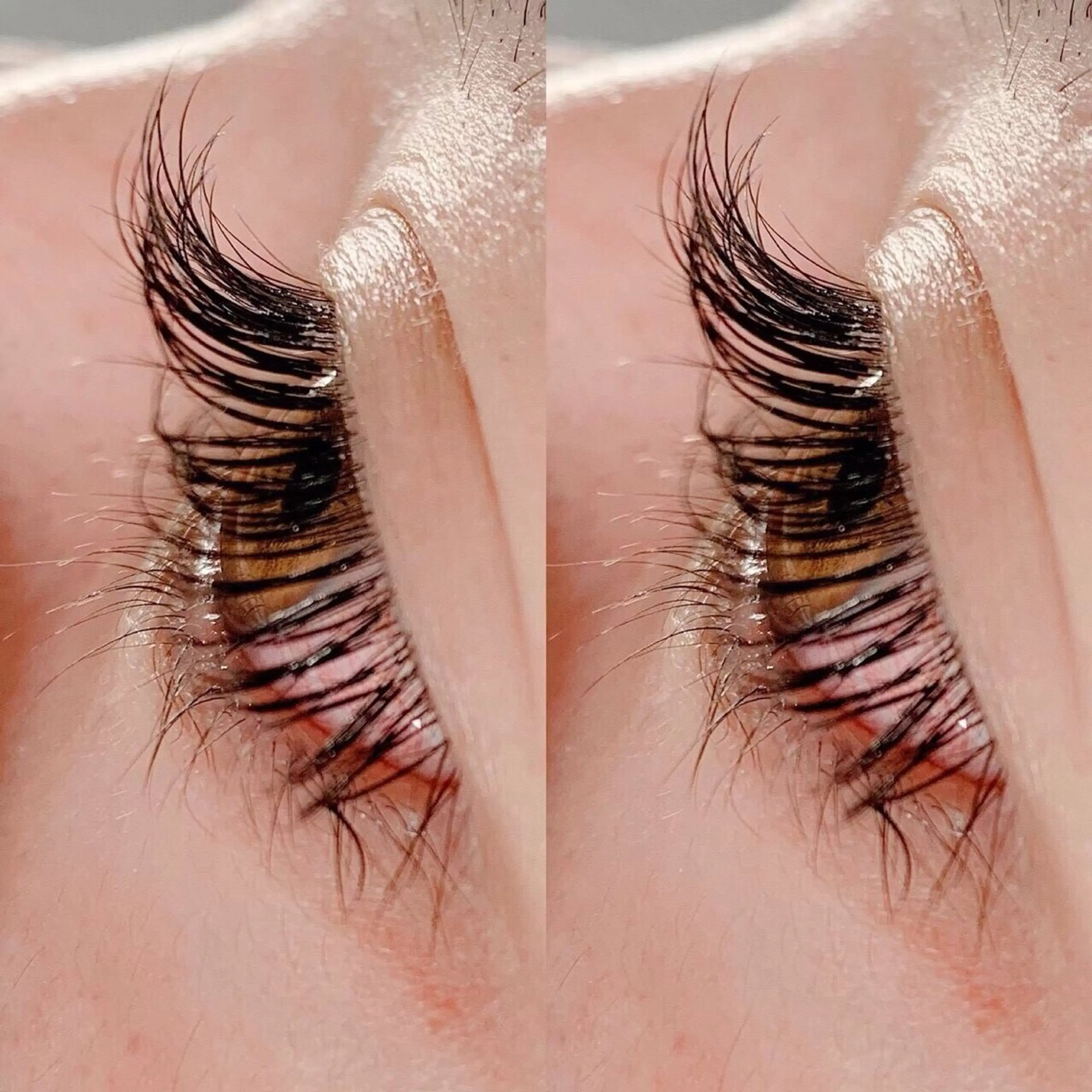 レッスンモデル用マツエク80本の写真