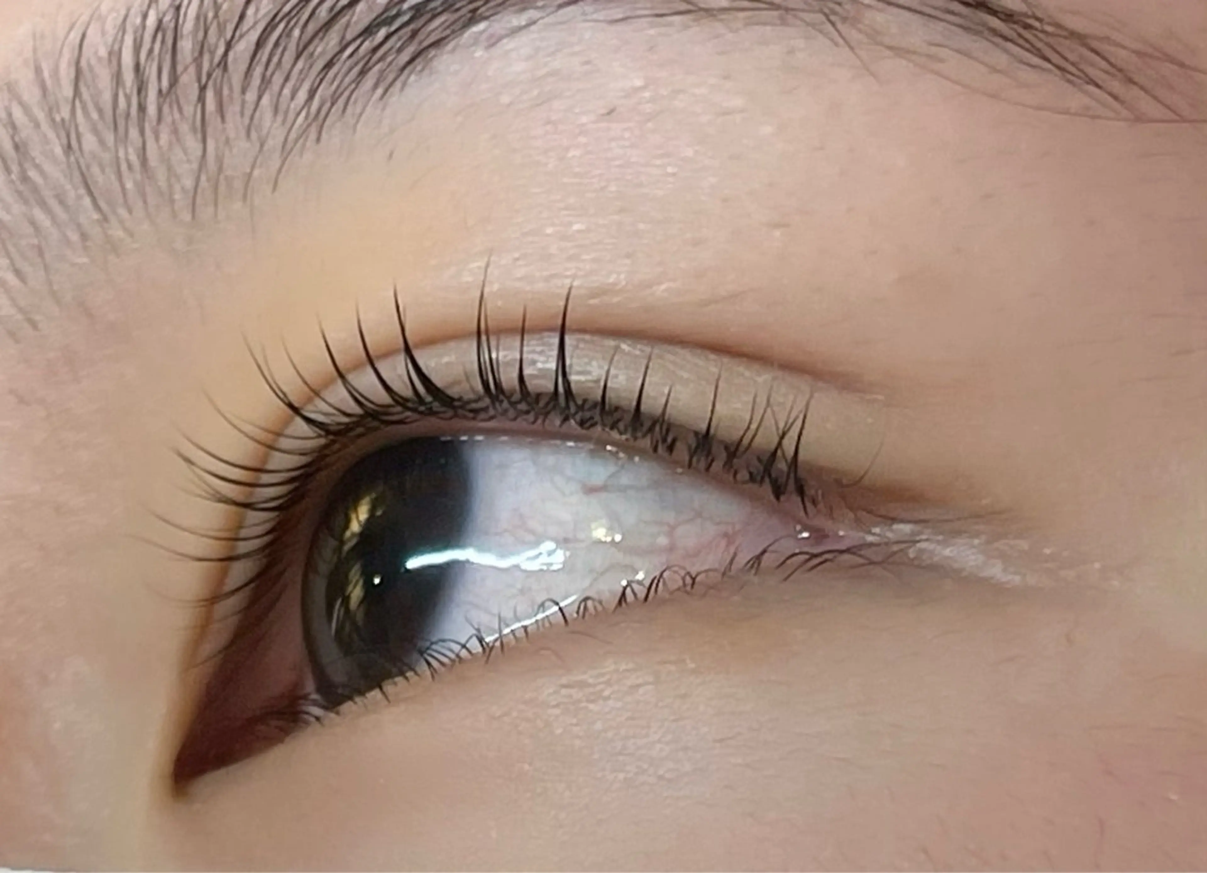 マツエク・マツパ まつ毛パーマ・パリジェンヌ専門店 chocolat 山科2号店所属・chocolat ２号店yukaのマツエク・マツパデザイン