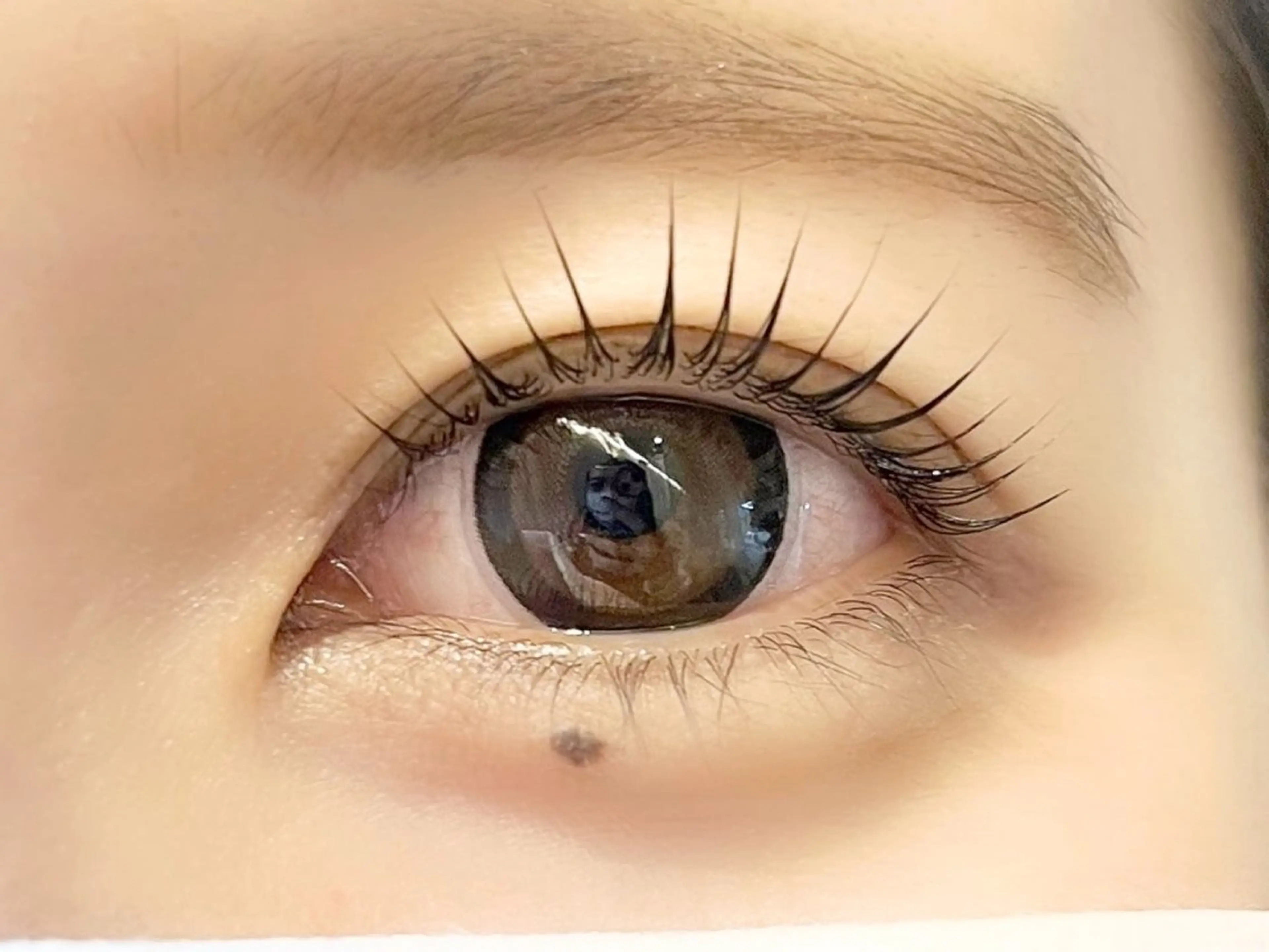 ãããšã¯ã»ããã sola: neoliveçç°ã®ãããšã¯ã»ããããã¶ã€ã³