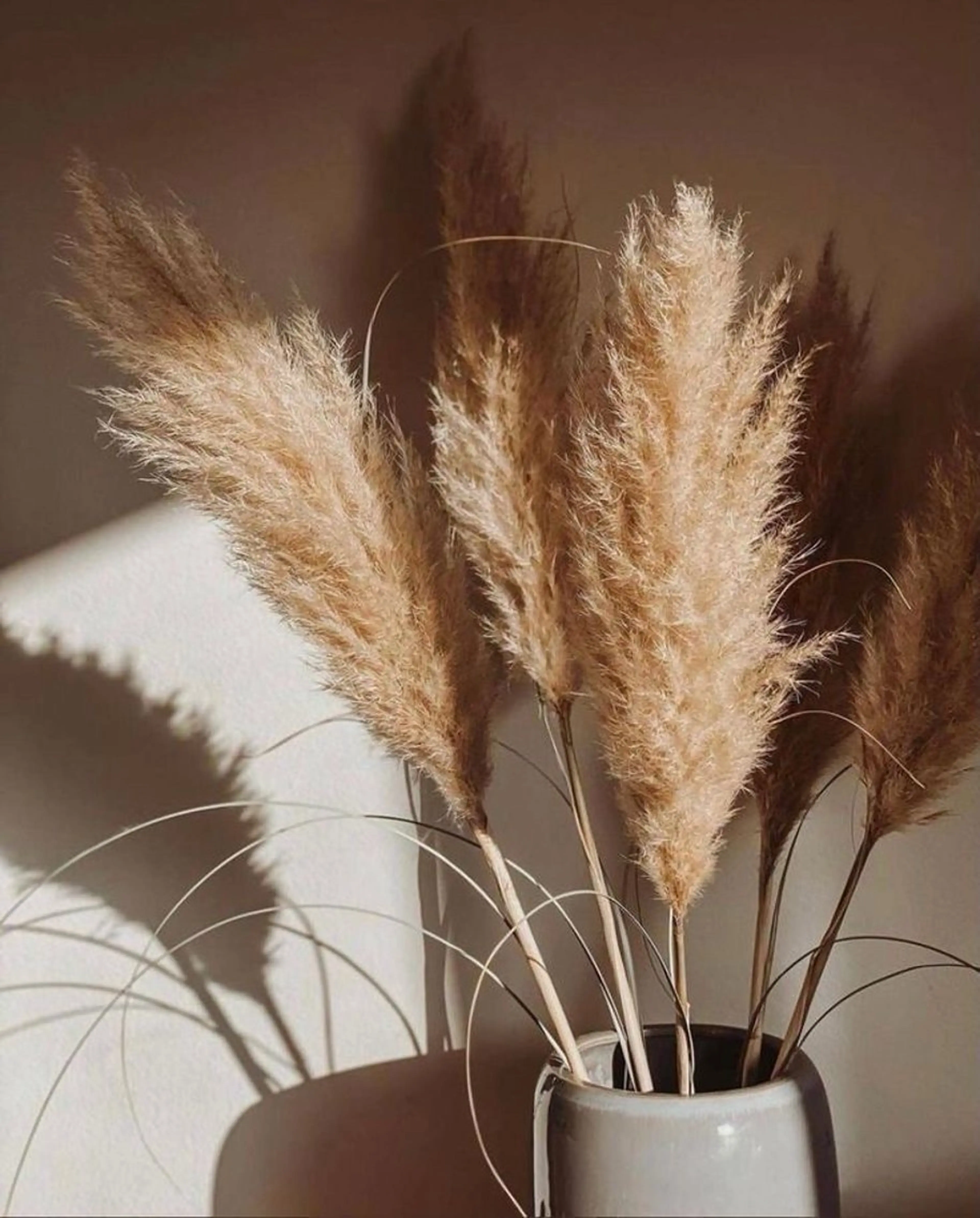 【30日限定🍑🤍】全ての&health🎀パリエク🪄LEDに変更無料✨の写真