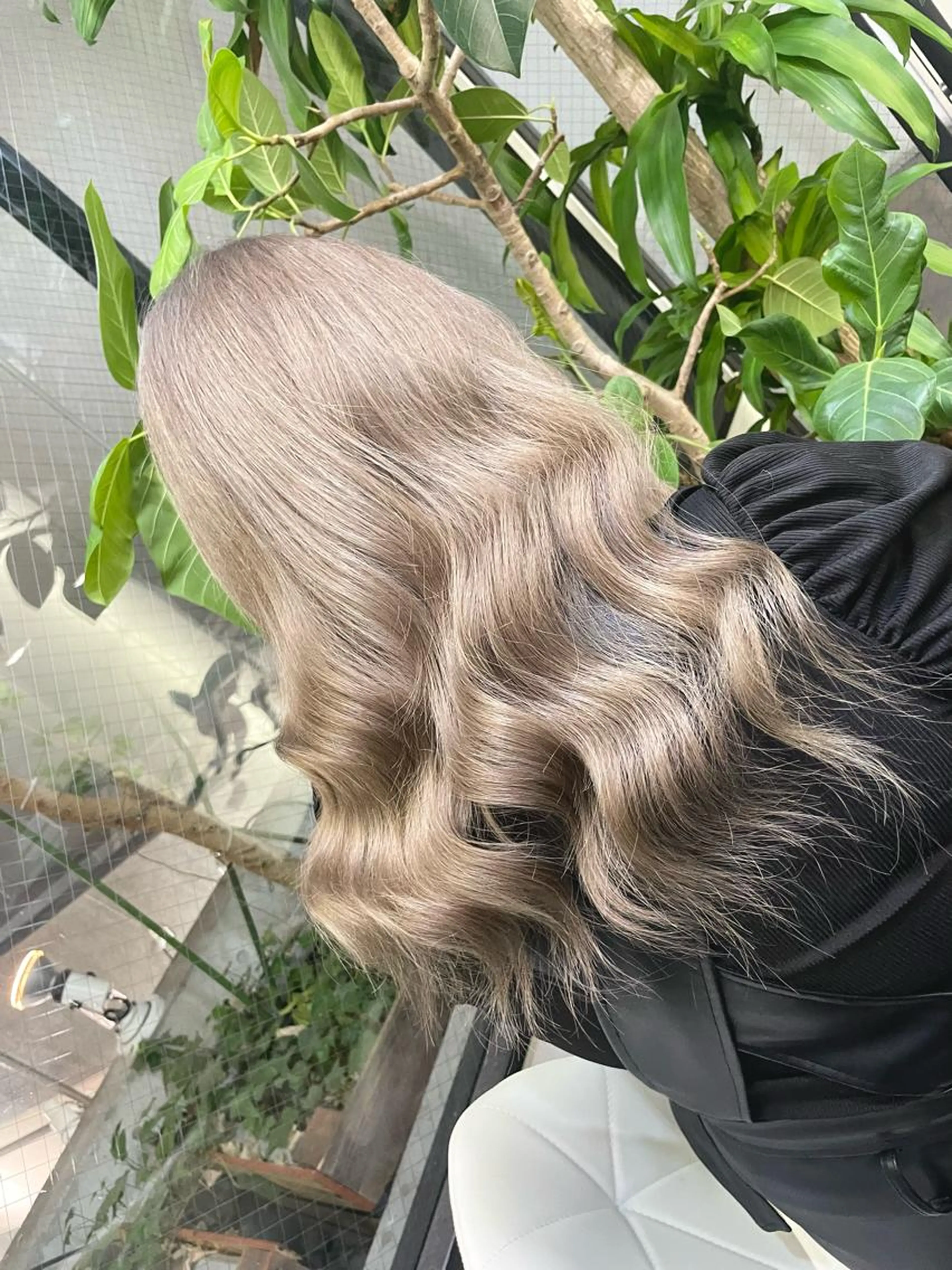 🩵ケアカラー🩵＋最高級ダメージケアTOKIO treatment🩵の写真