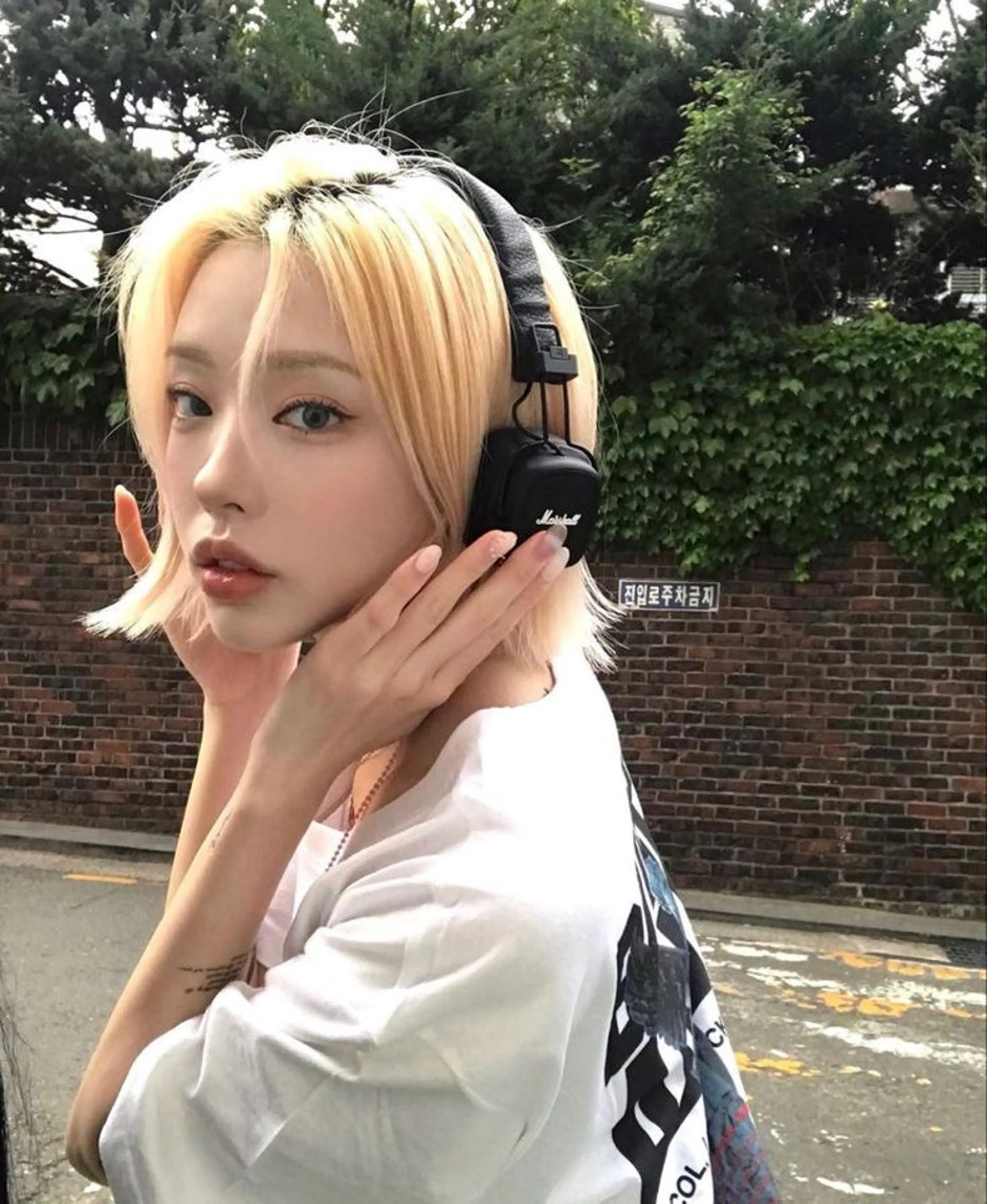 ミディアム カラー ハイトーンカラー ブリーチなし/透明感 /ショート/大世のヘアスタイル