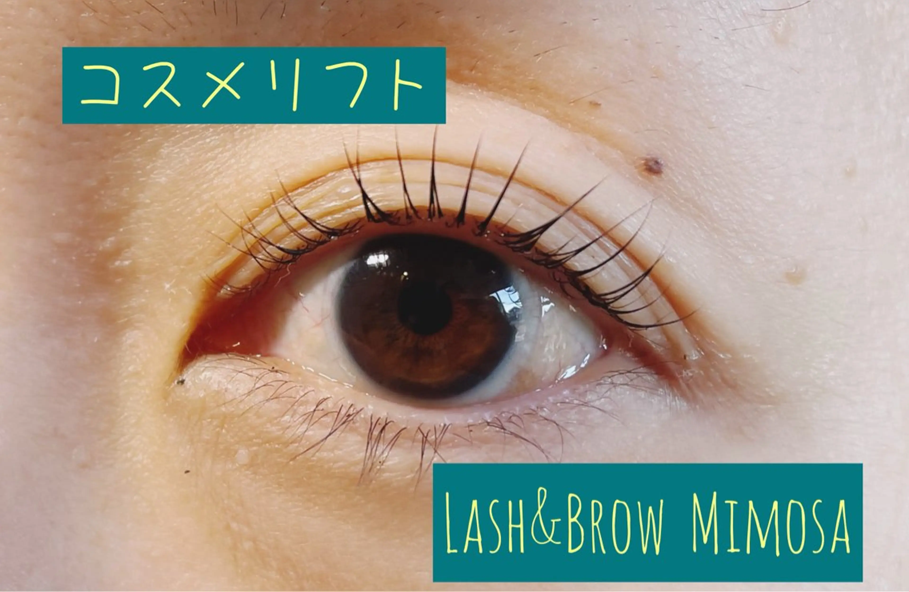 マツエク・マツパ マツパ Lash&Brow  Mimosa所属・Lash&Brow Mimosaのマツエク・マツパデザイン