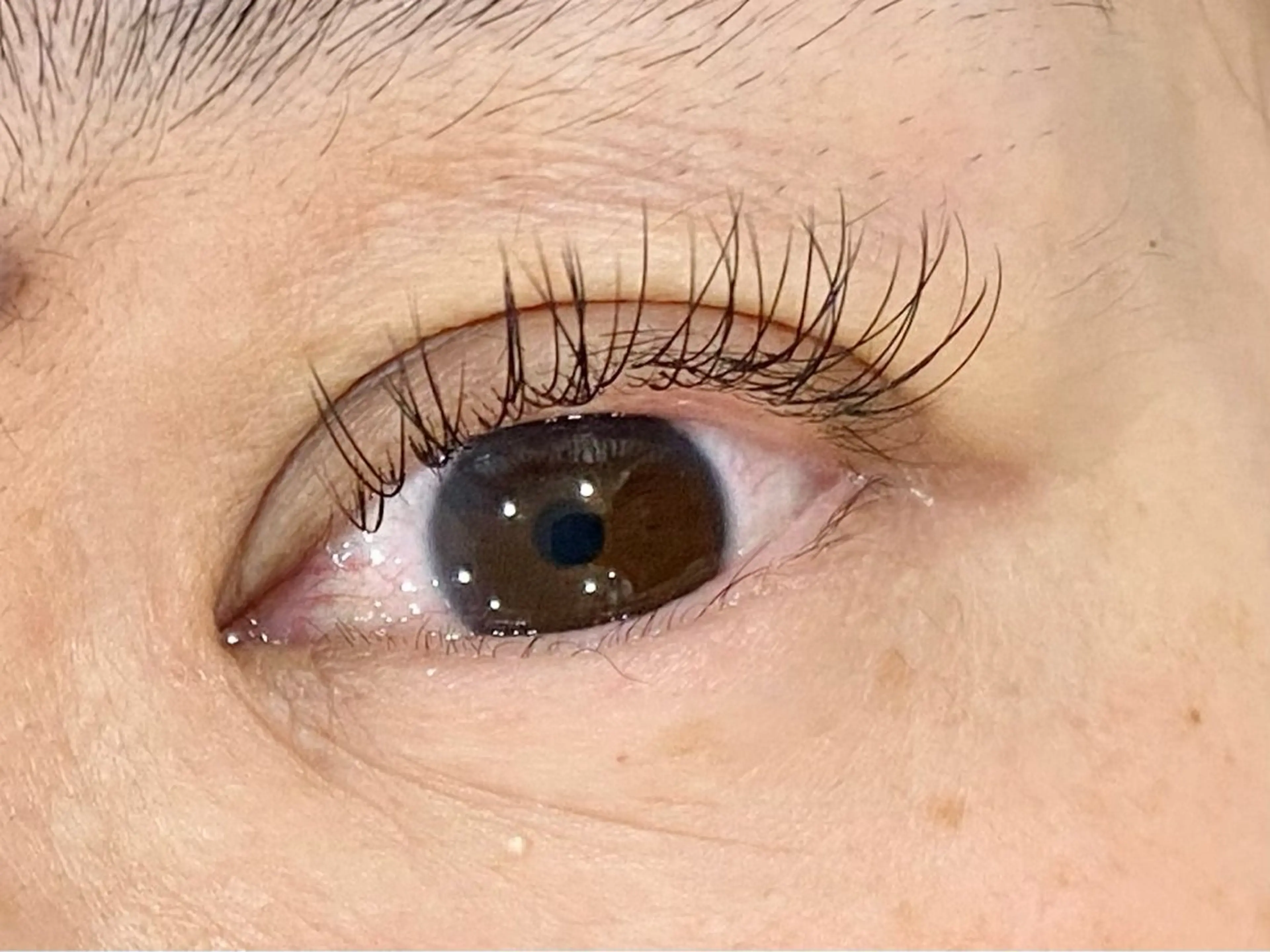 フラットラッシュ　80本の写真