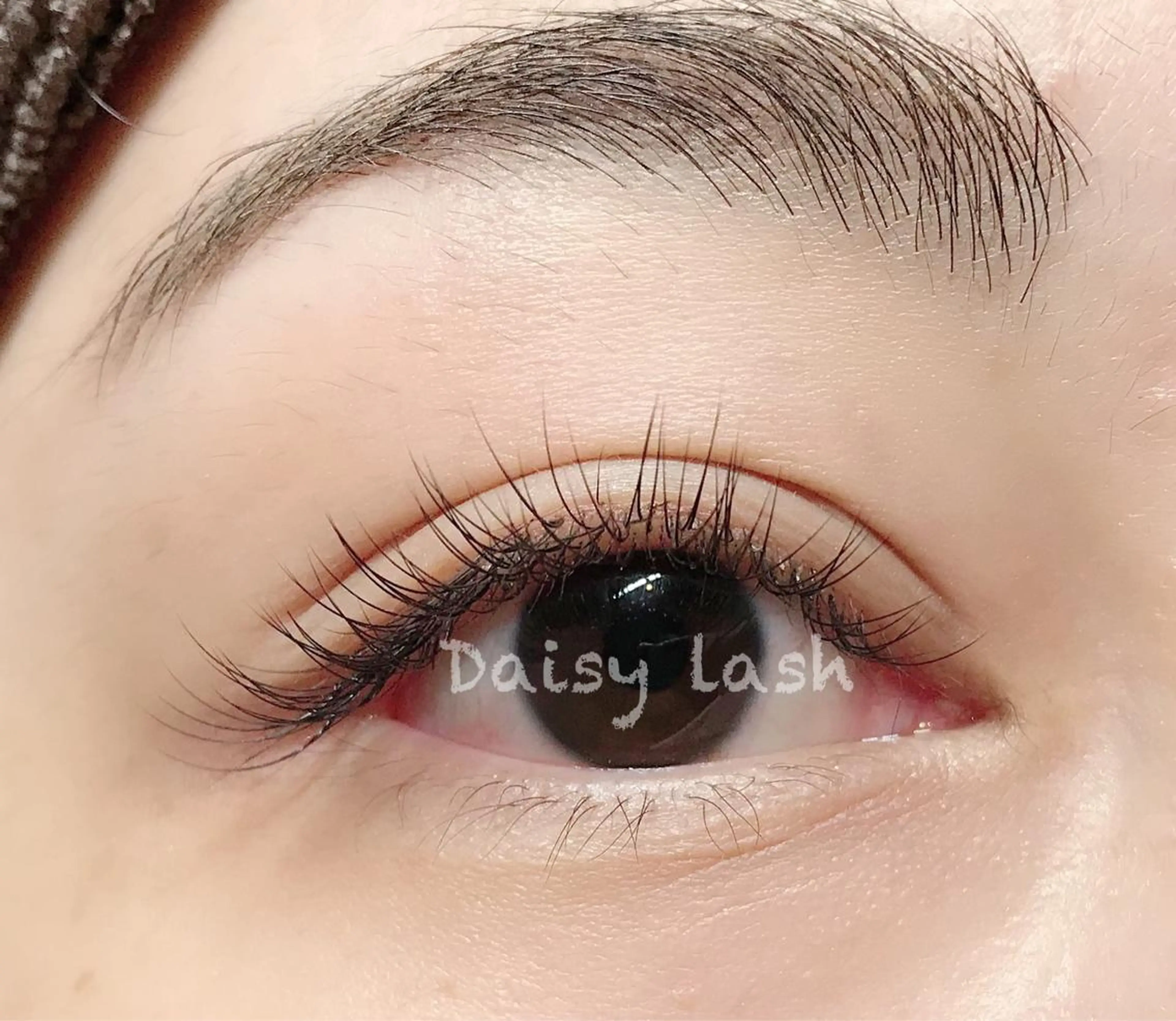 マツエク・マツパ Cカール セーブル Daisy lash 高尾のマツエク・マツパデザイン