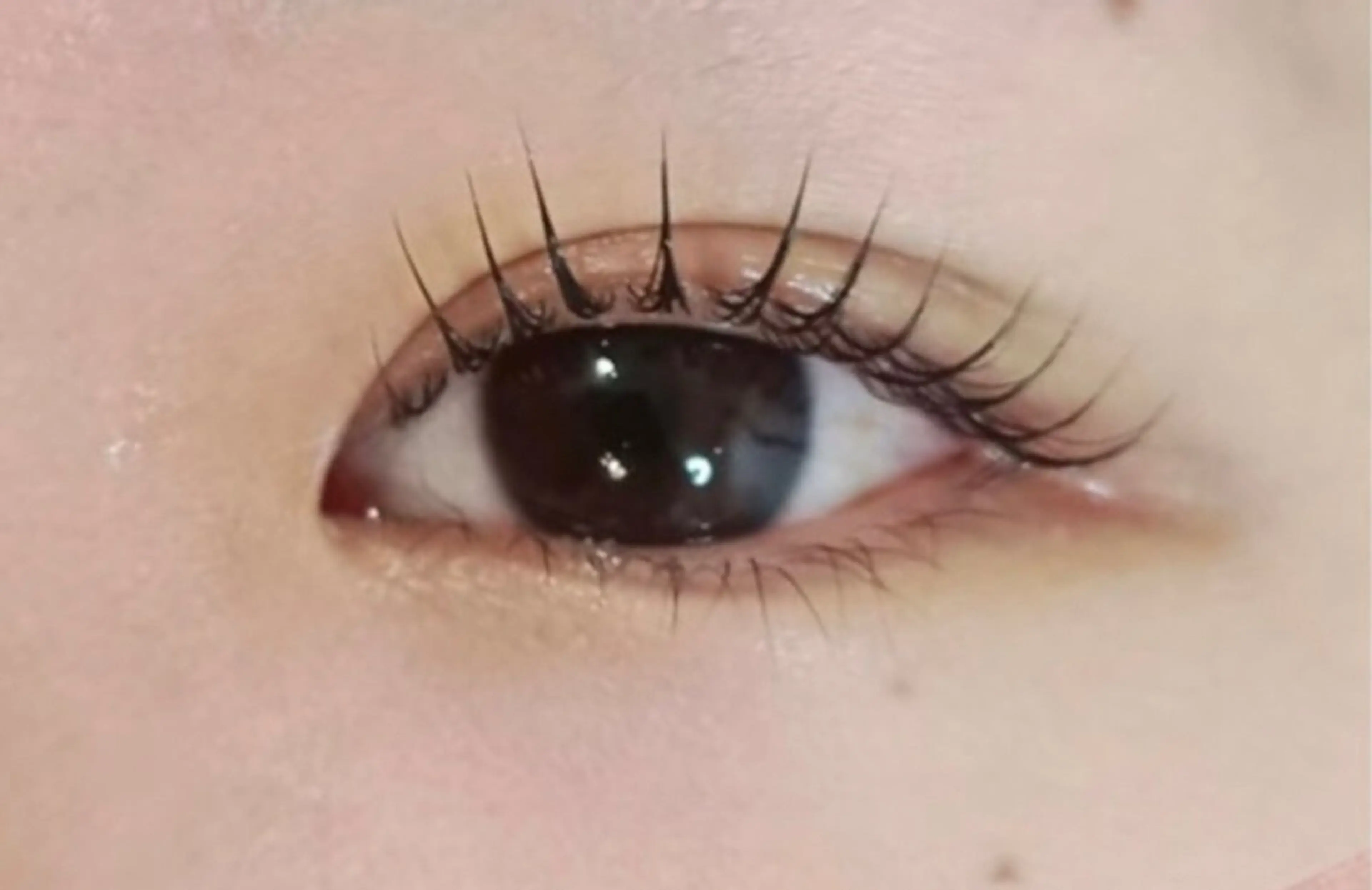 マツエク・マツパ マツパ アレグレス所属・アレグレス@池袋 🌹大人気店🌹のマツエク・マツパデザイン