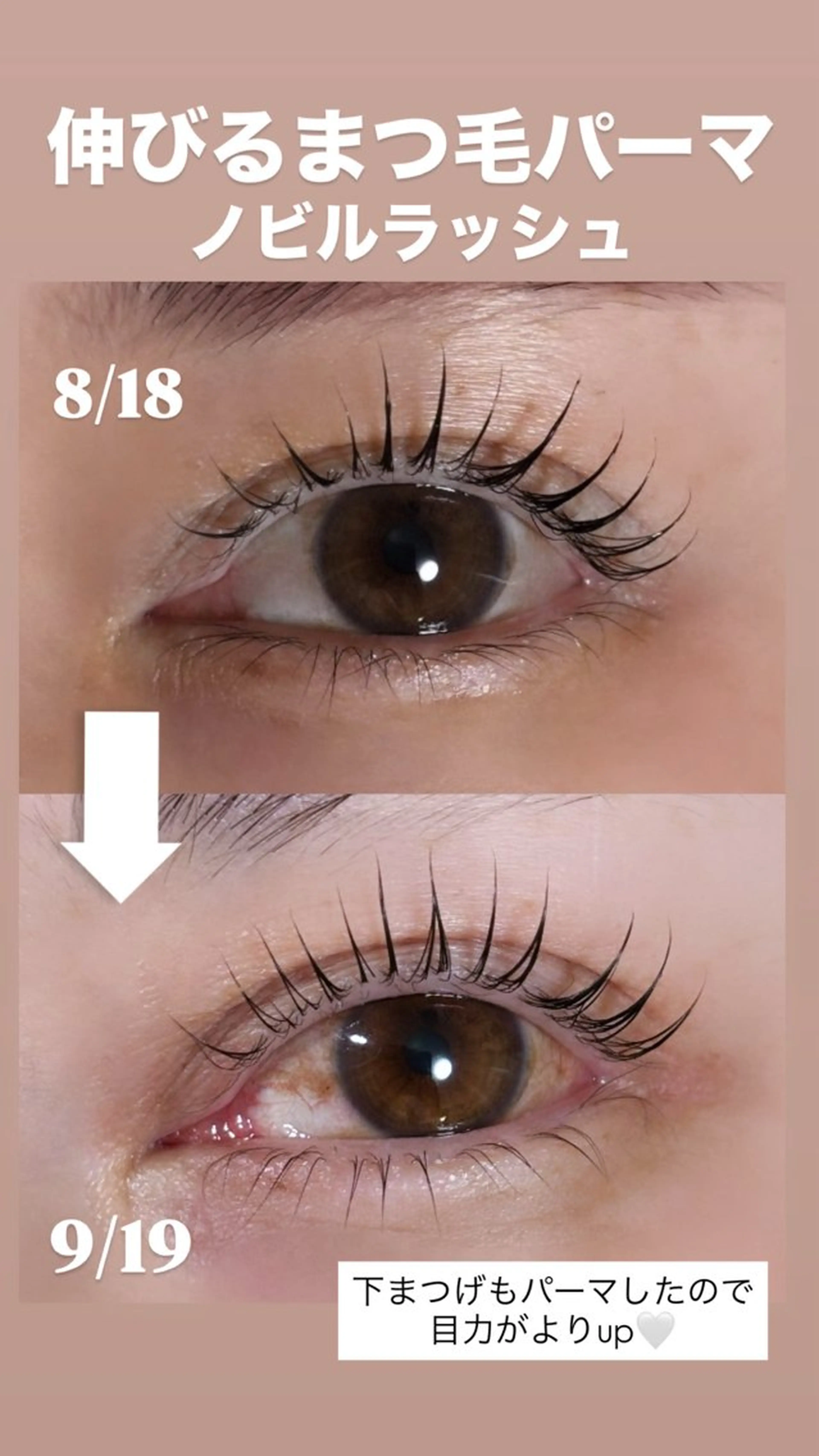 マツエク・マツパ マツパ Fleur フルールのマツエク・マツパデザイン