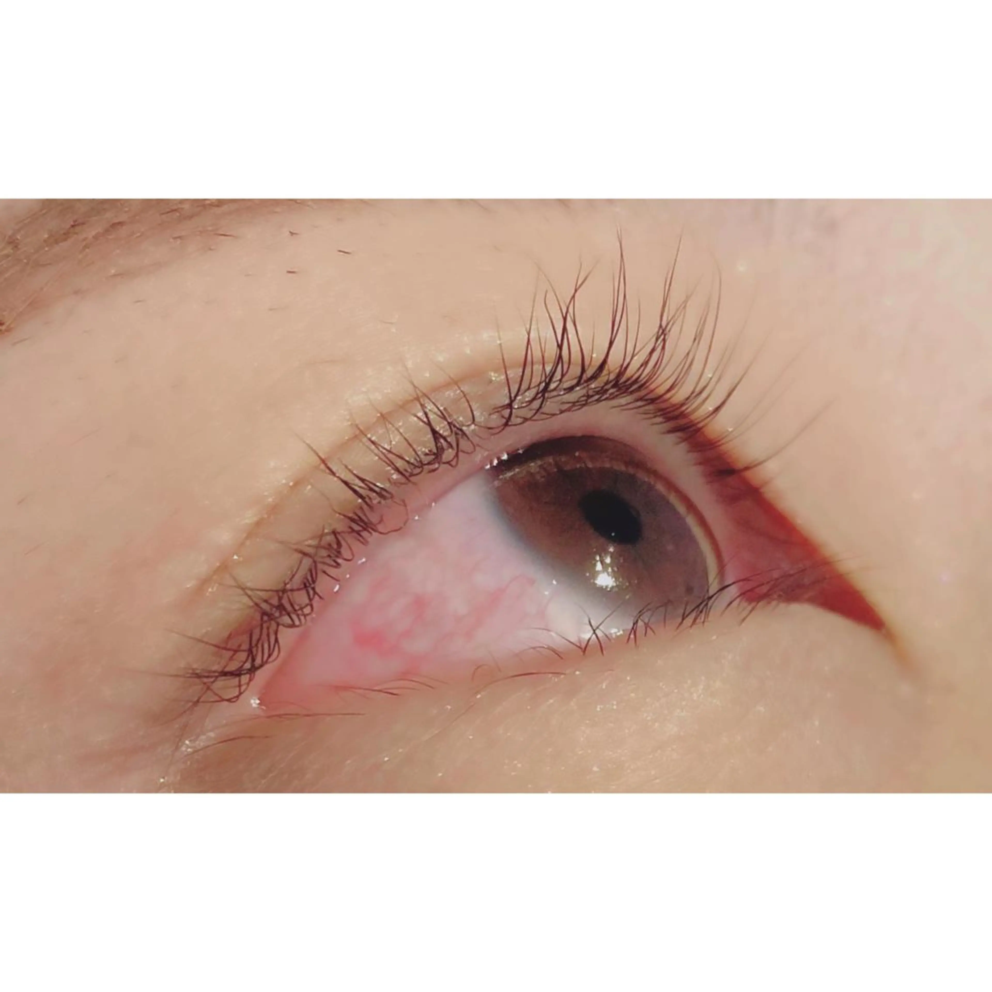 マツエク・マツパ パリジェンヌラッシュリフト Bianca 長津田店　長牛のマツエク・マツパデザイン