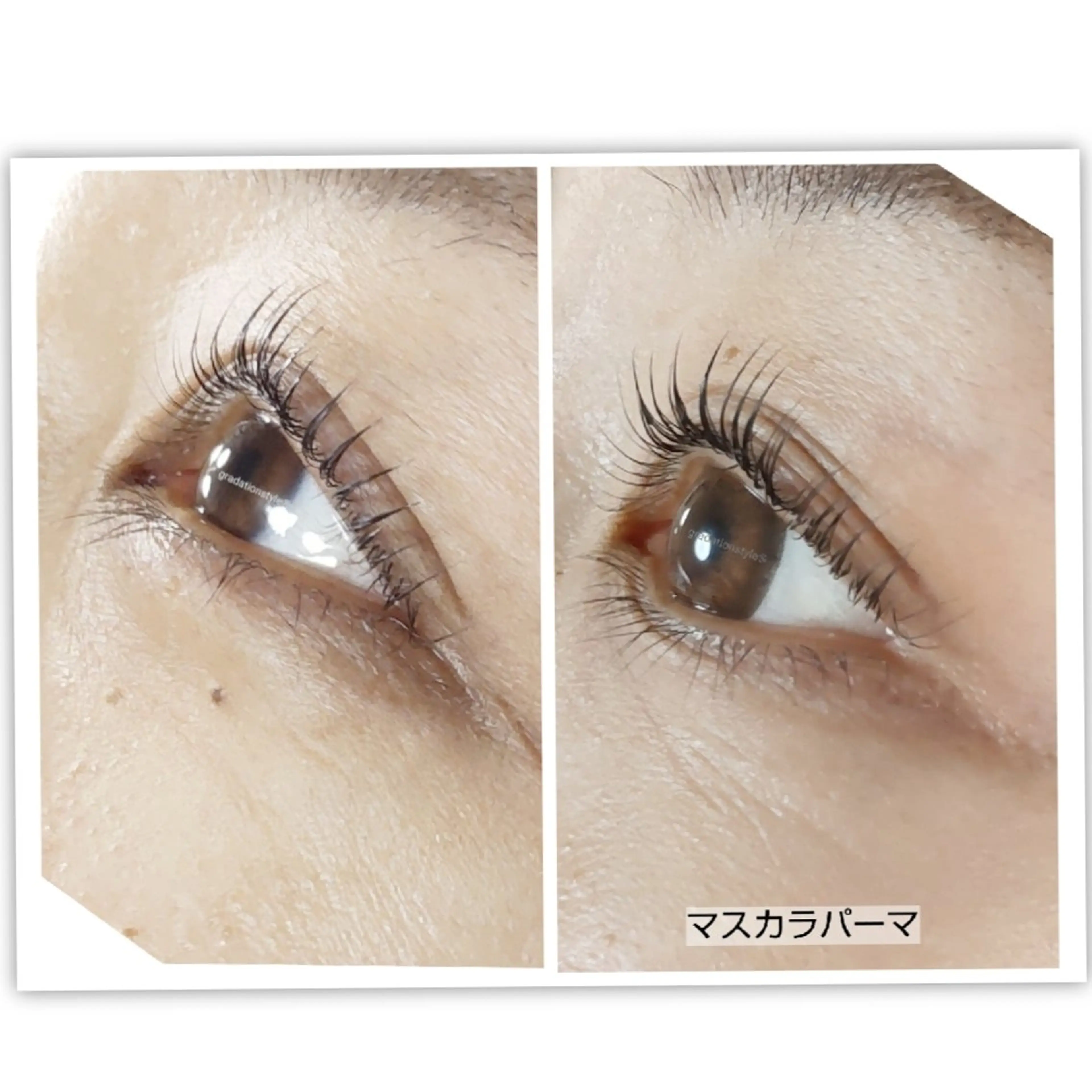 マツエク・マツパ 🎼グラデーション スタイル札幌♫*✧のマツエク・マツパデザイン