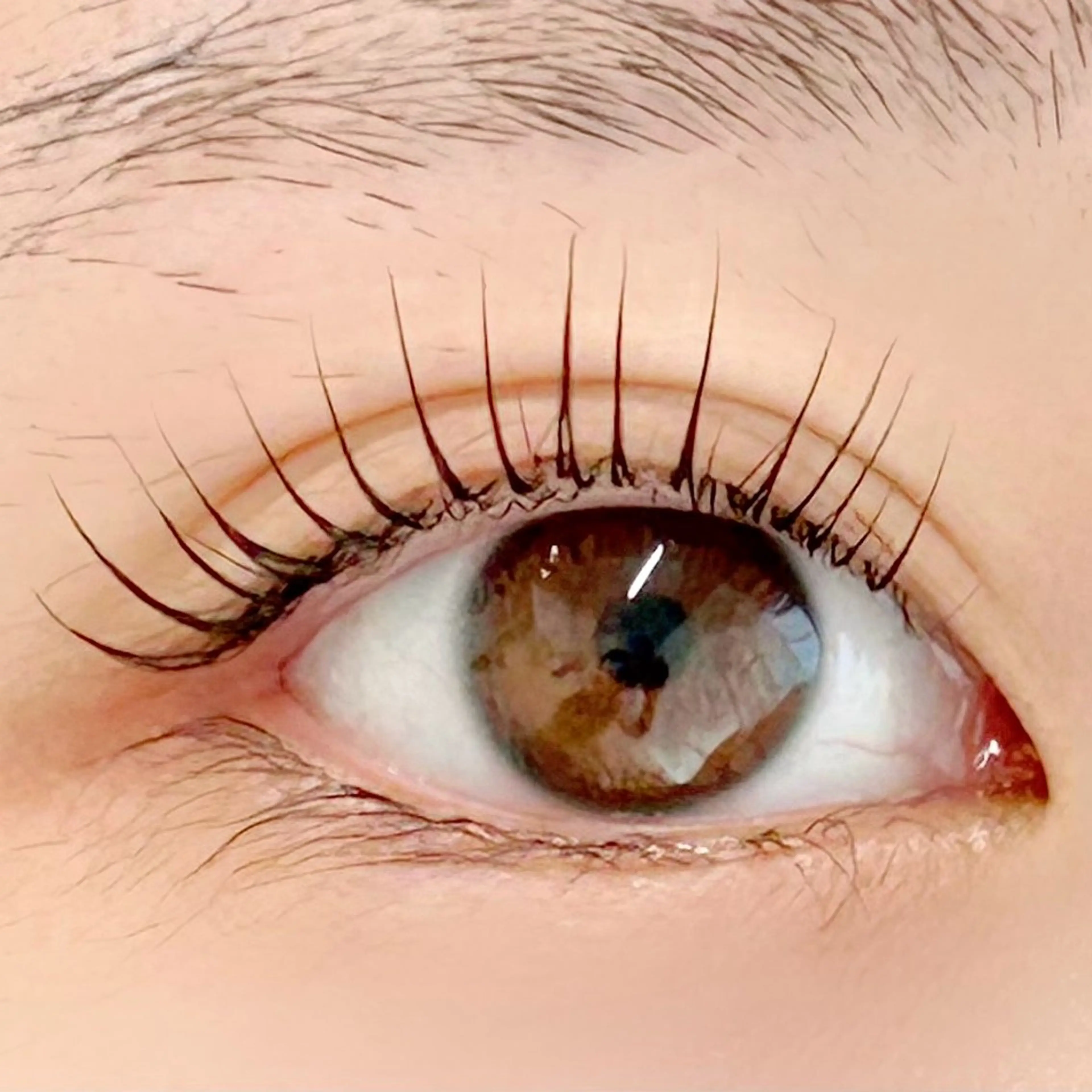 マツエク・マツパ 一重×まつ毛パーマ BellFlower Aki（眉・まつげ）のマツエク・マツパデザイン