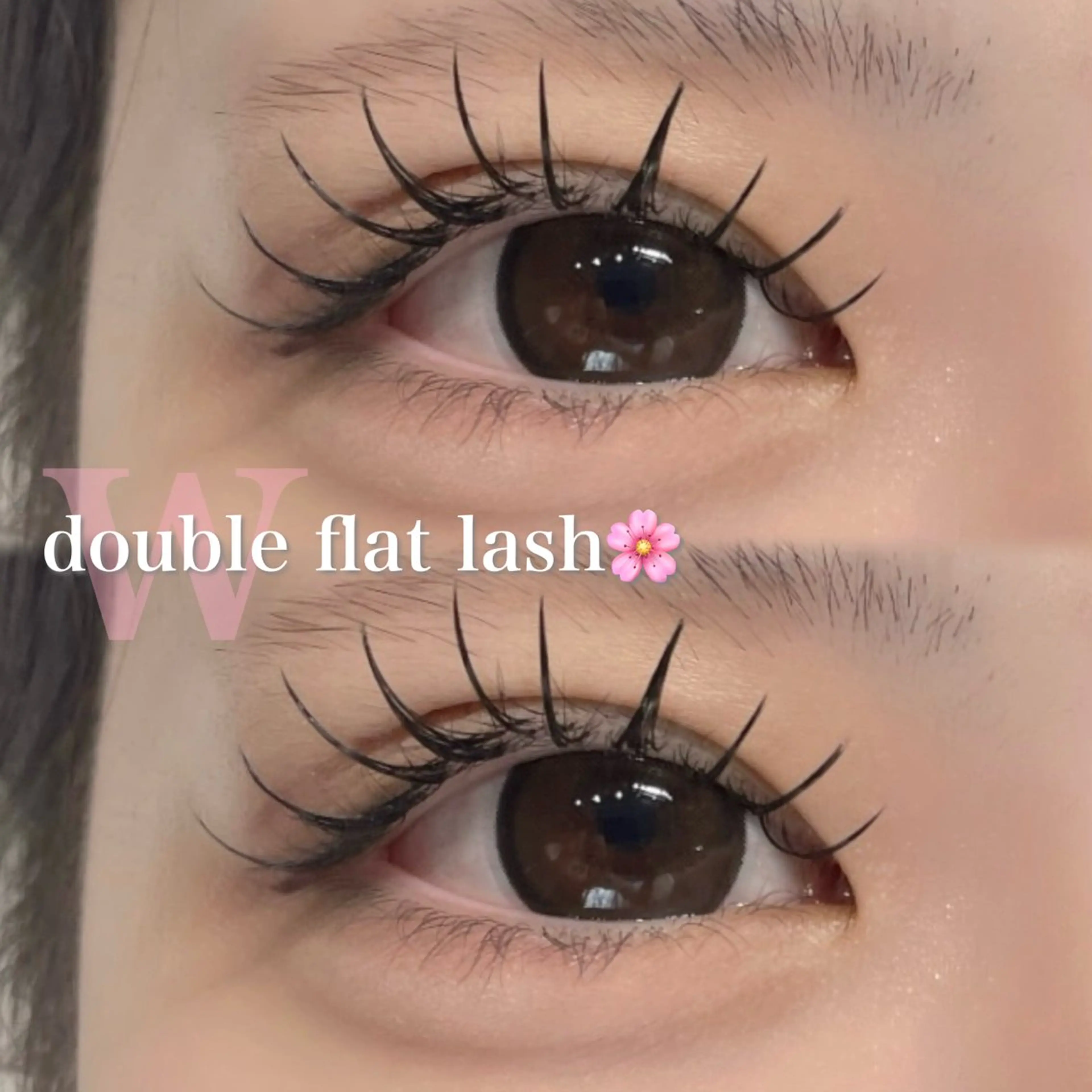 【🌸初回限定🌸】Wフラット120束(240本)オフ込み¥6980→¥5980 (LED変更＋500円)の写真