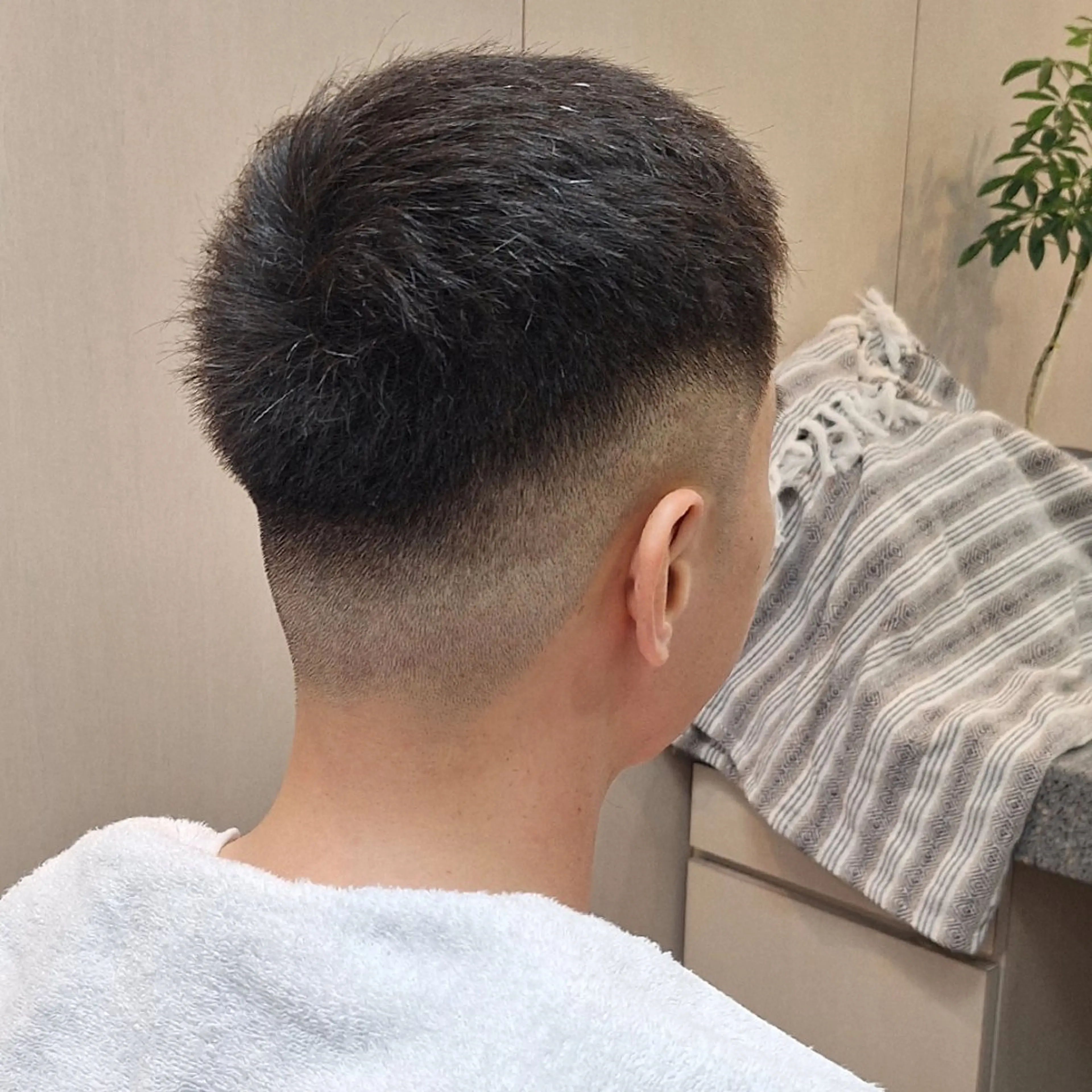 フェードカットの写真