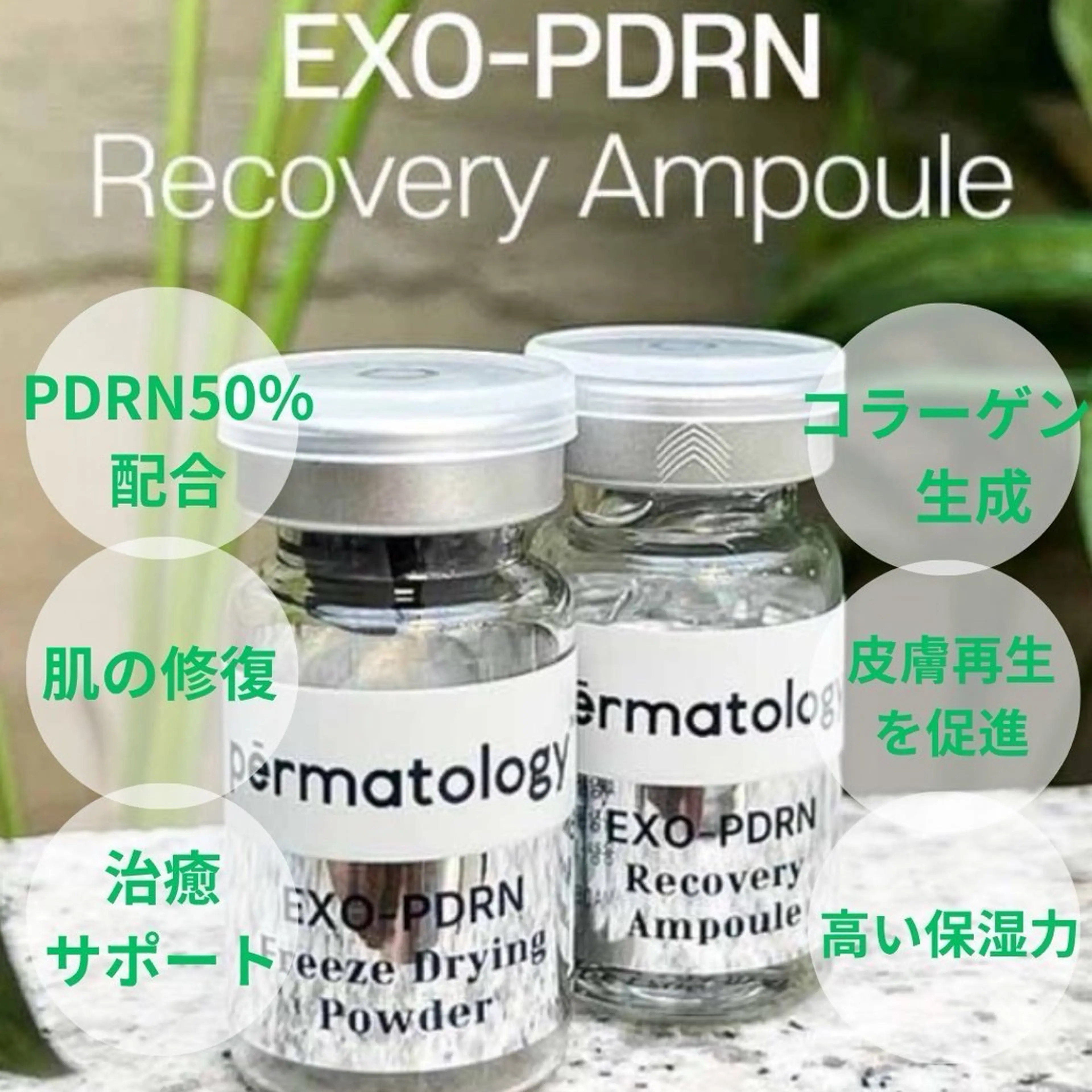 【韓国発・高級アンプル導入】サーモンPDRN 50%配合＋超音波導入の写真