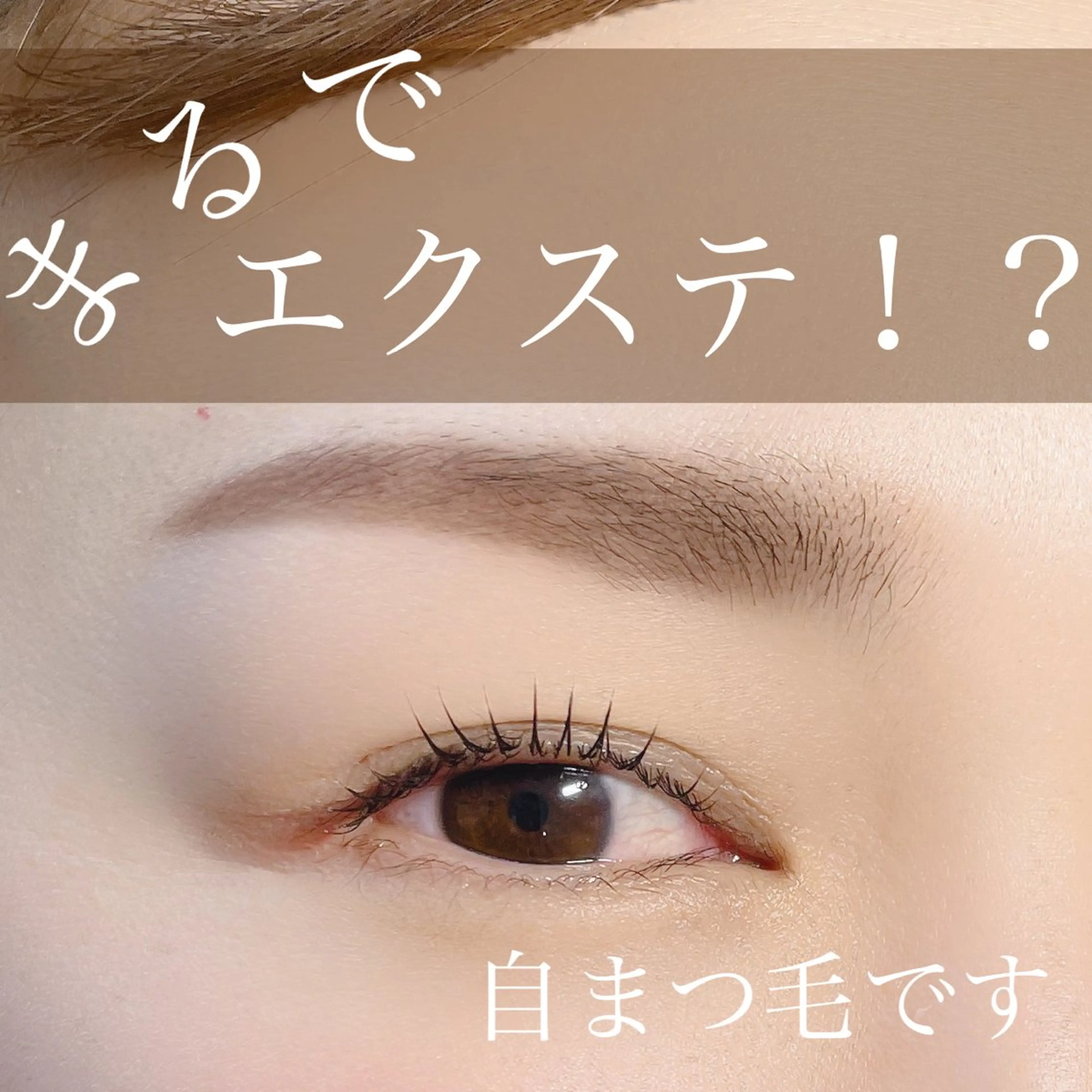 マツエク・マツパ マツパ N.natura所属・五藤 なみのマツエク・マツパデザイン