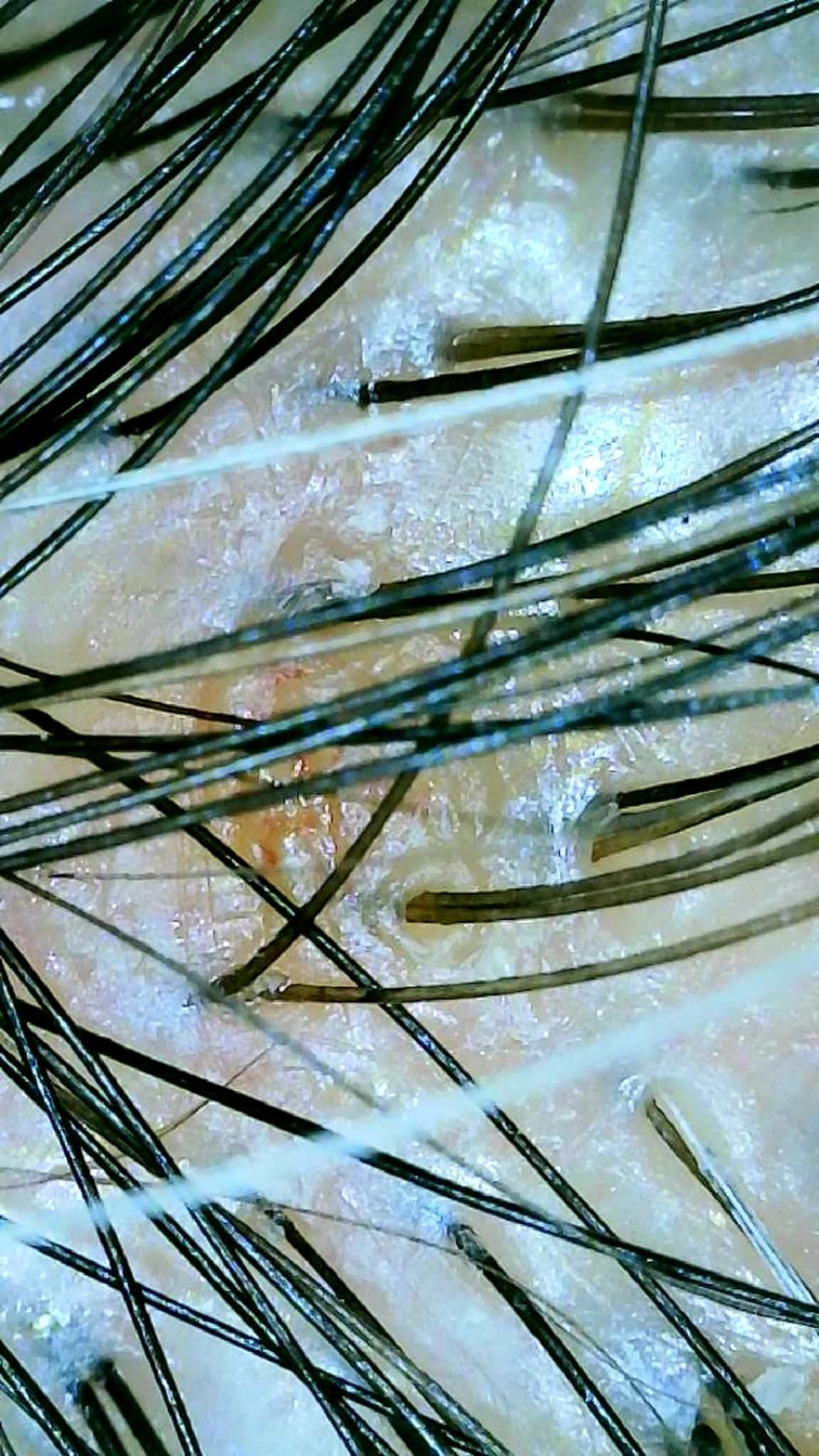 Laby.spa/Labyrinth所属・ヘッドスパ/耳つぼ Laby.spaのヘアスタイル