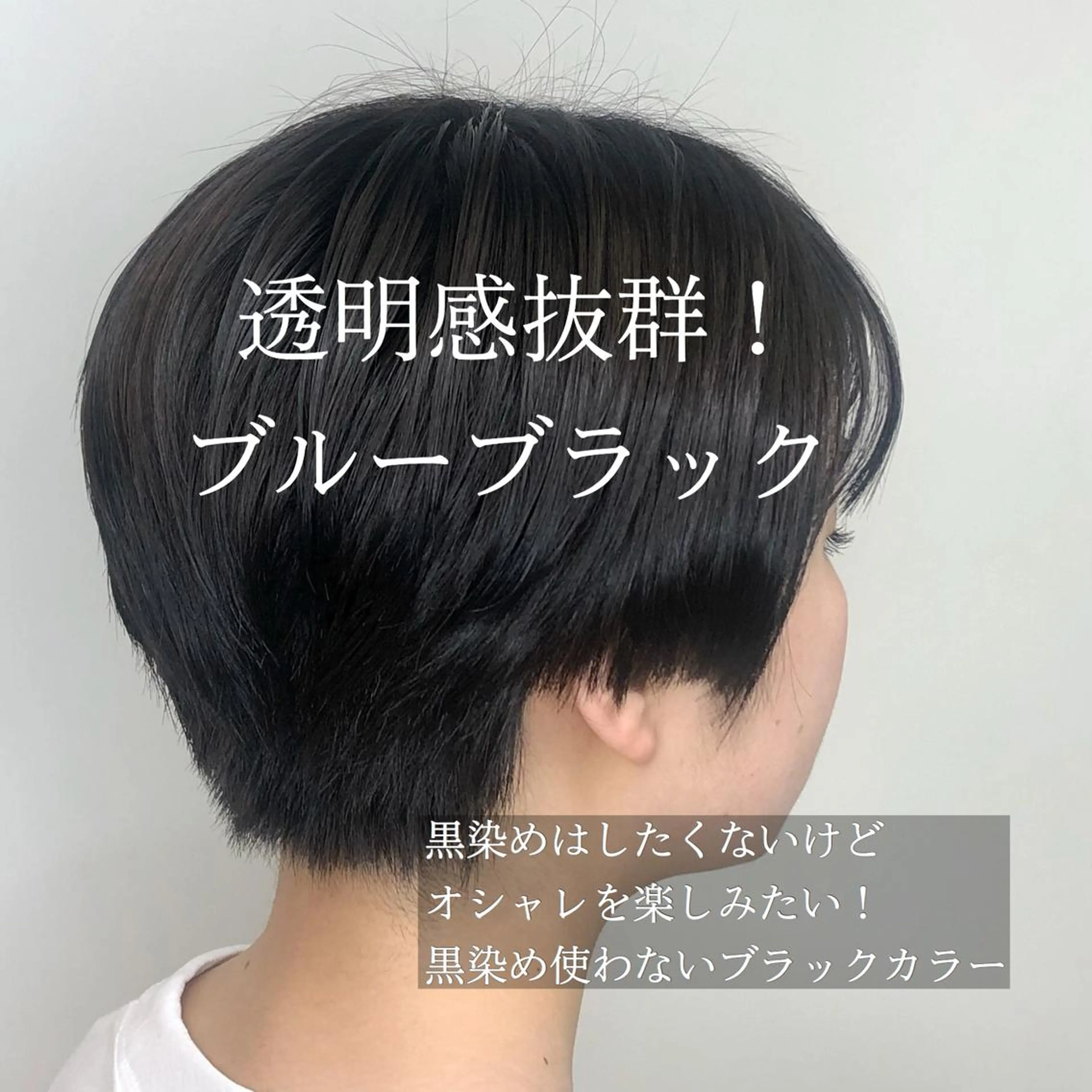 ショート カラー 黒髪 ブルーカラー ブルーブラック 透明感カラー 韓国風ヘア 🥀韓国アイドルヘア 𝐡𝐚𝐫𝐮🥀のヘアスタイル