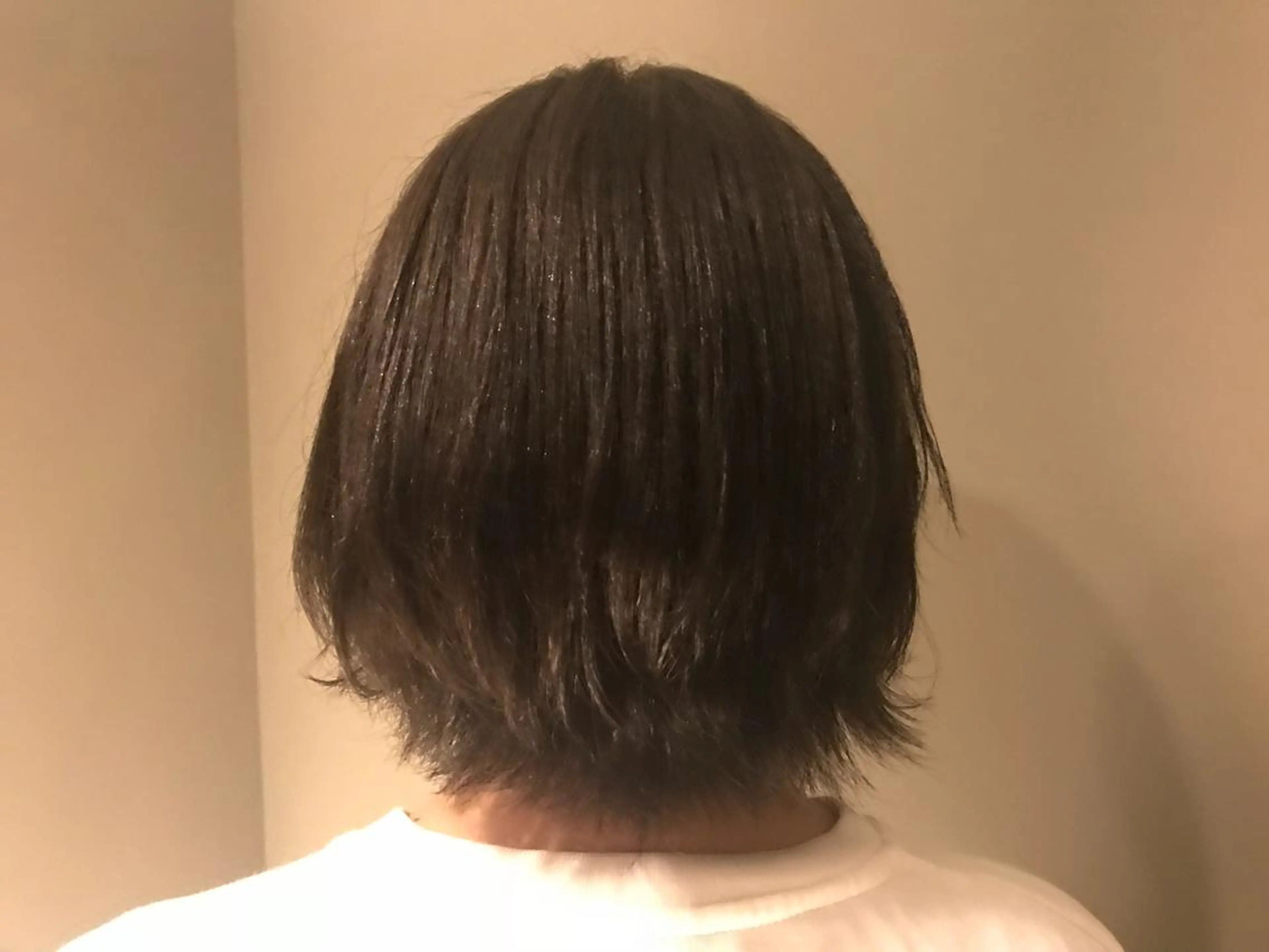ショート カラー アッシュ ボブ/透明感カラー 岸本涼奈のヘアスタイル