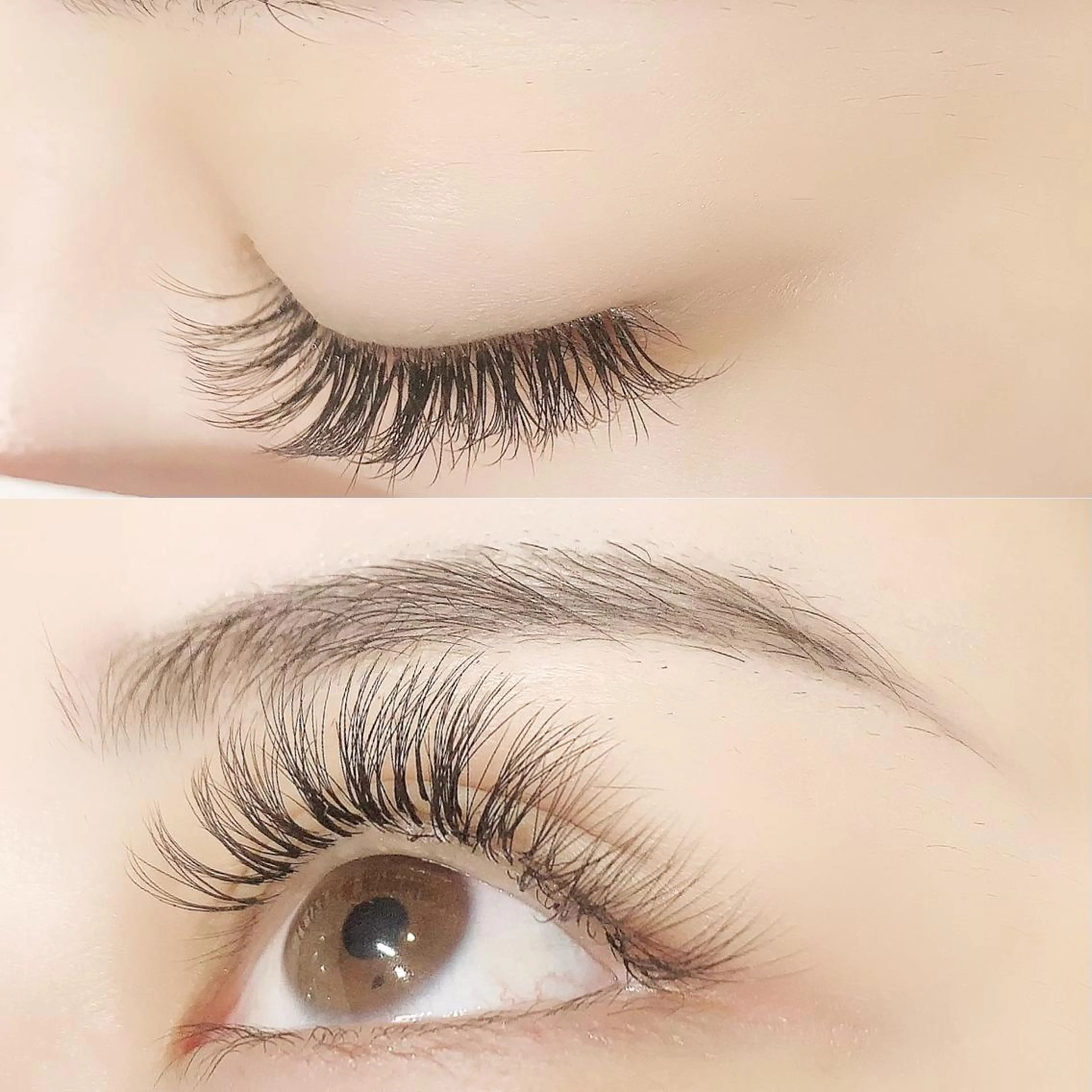 マツエク・マツパ Cカール ナチュラル ボリュームラッシュ Lanhr所属・【Lanhr】 🕊aya🕊のマツエク・マツパデザイン