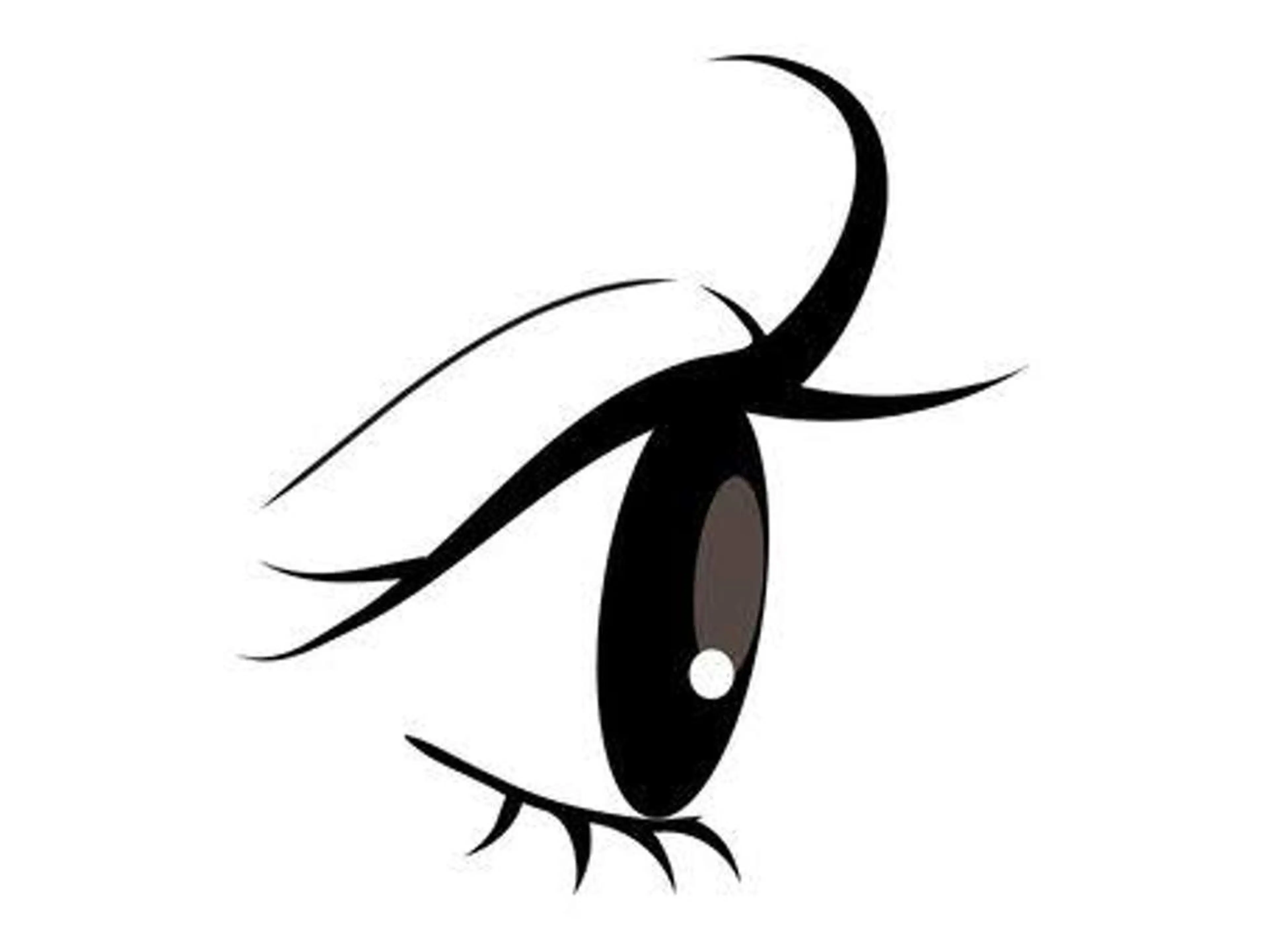 マツエク・マツパ マツパ Ayumi.dre 🌸Y《2階》のマツエク・マツパデザイン