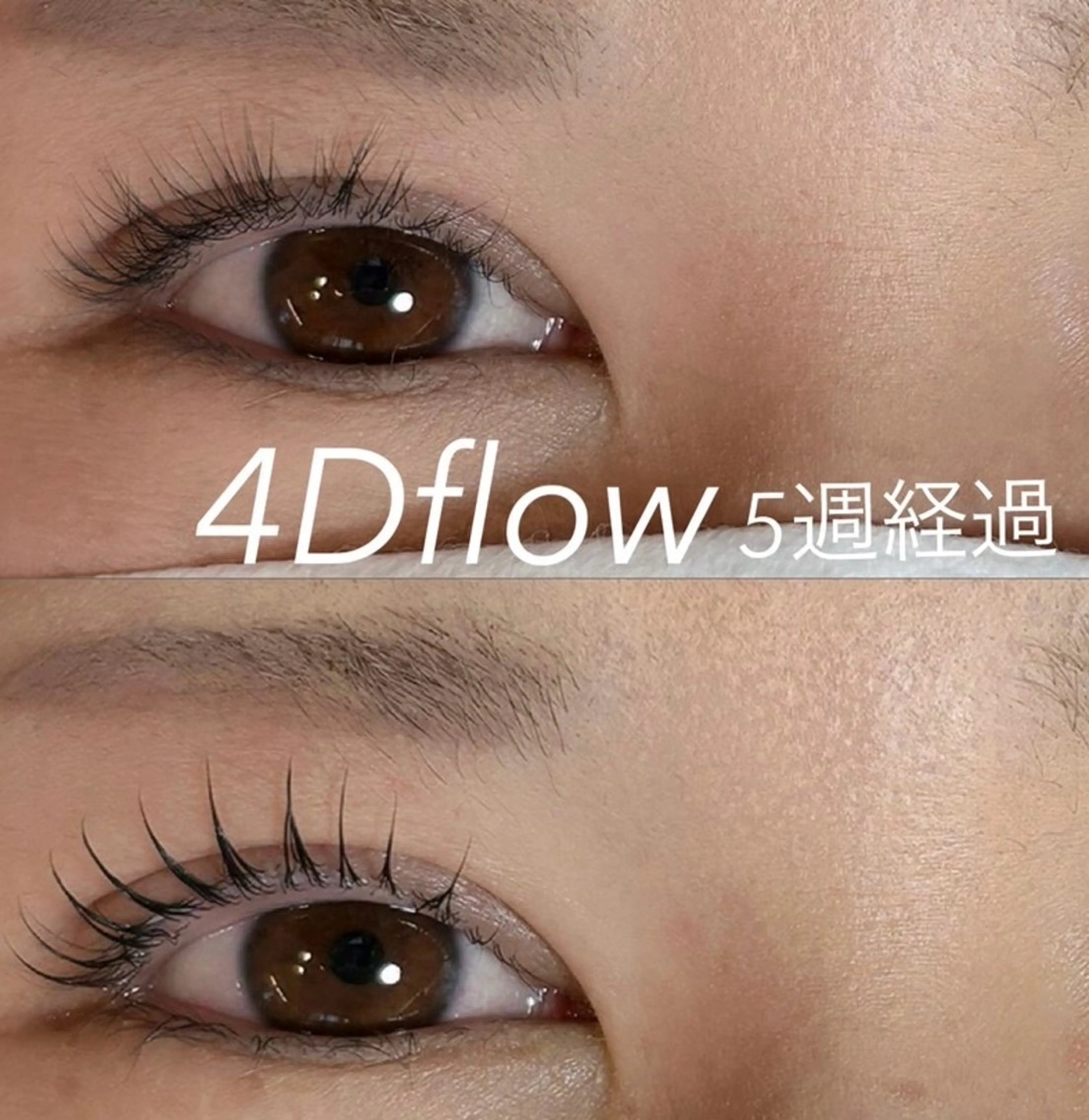 【綺麗なまま高持続】4Dflowラッシュリフト【毛を傷ませないパーマ】の写真