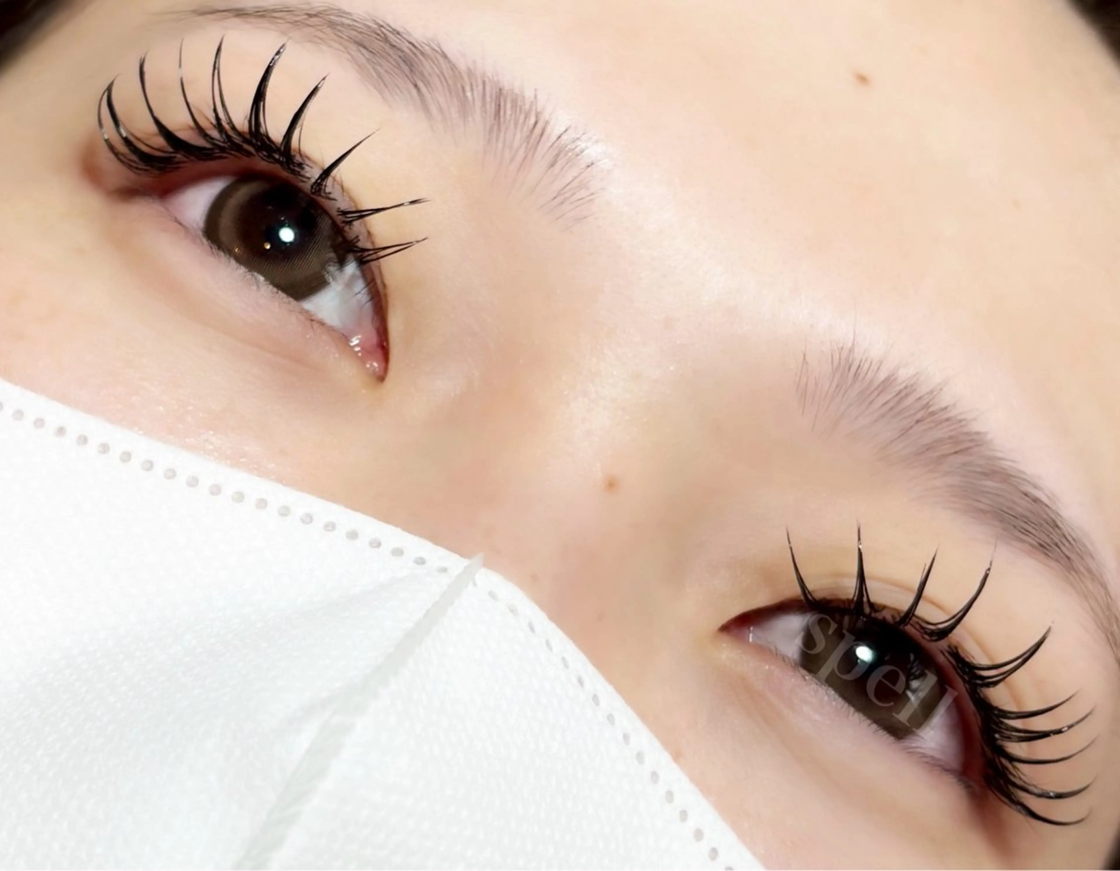 マツエク・マツパ マツエク spell_eyelash所属・spell eyelashのマツエク・マツパデザイン