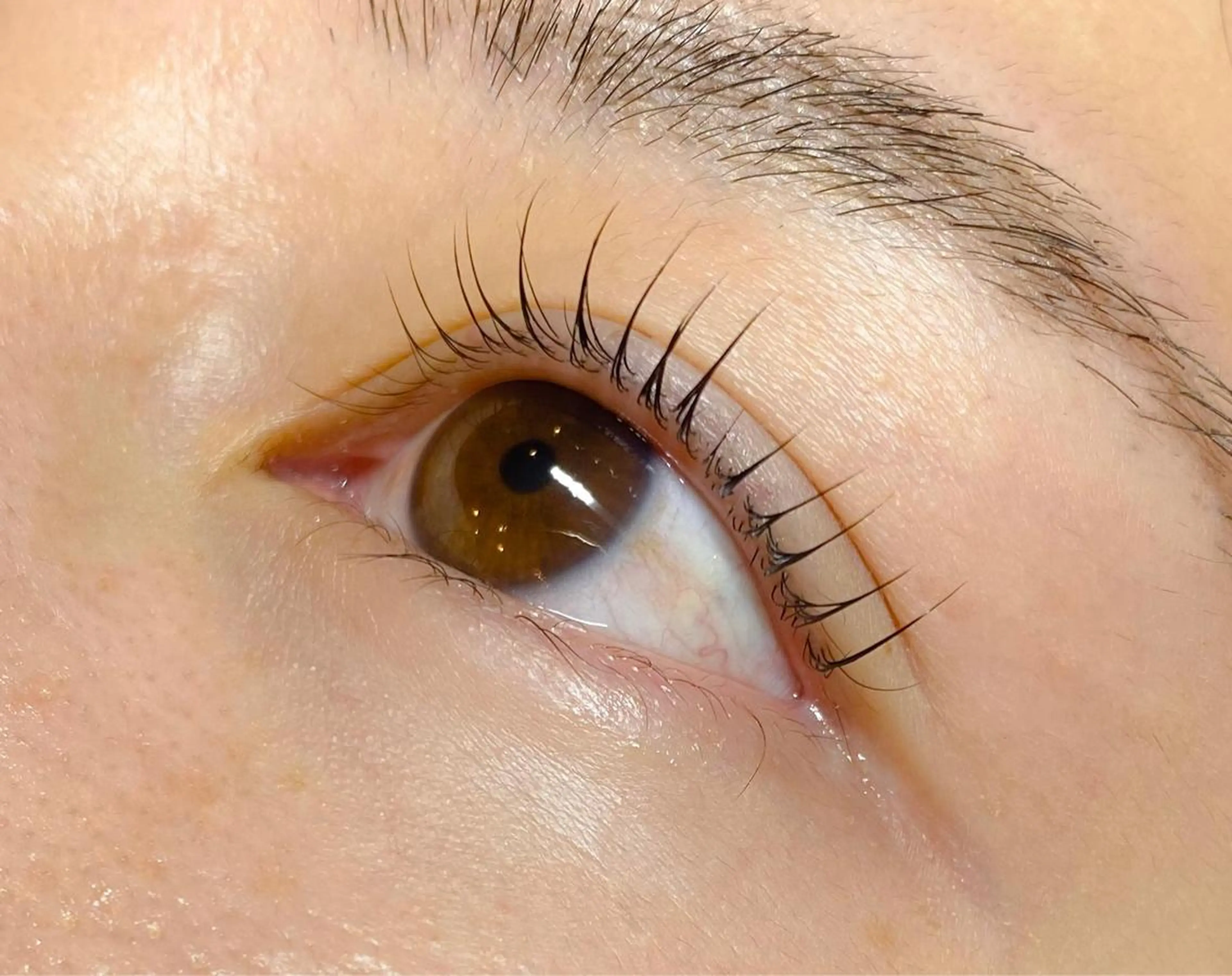 マツエク・マツパ まつ毛パーマまつエク 緑が丘徒歩1分/松田のマツエク・マツパデザイン