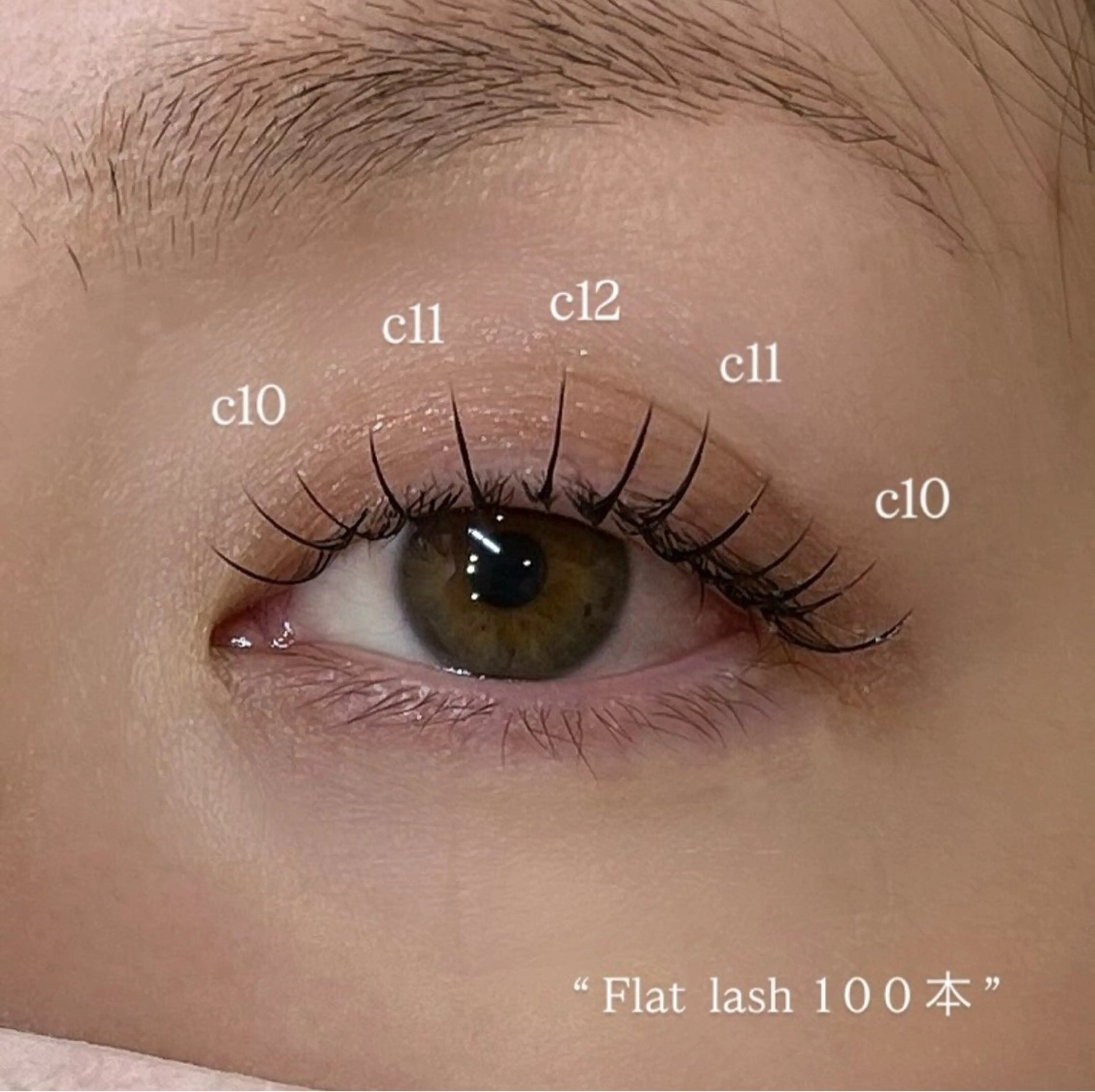 🫧フラットラッシュ100本の写真