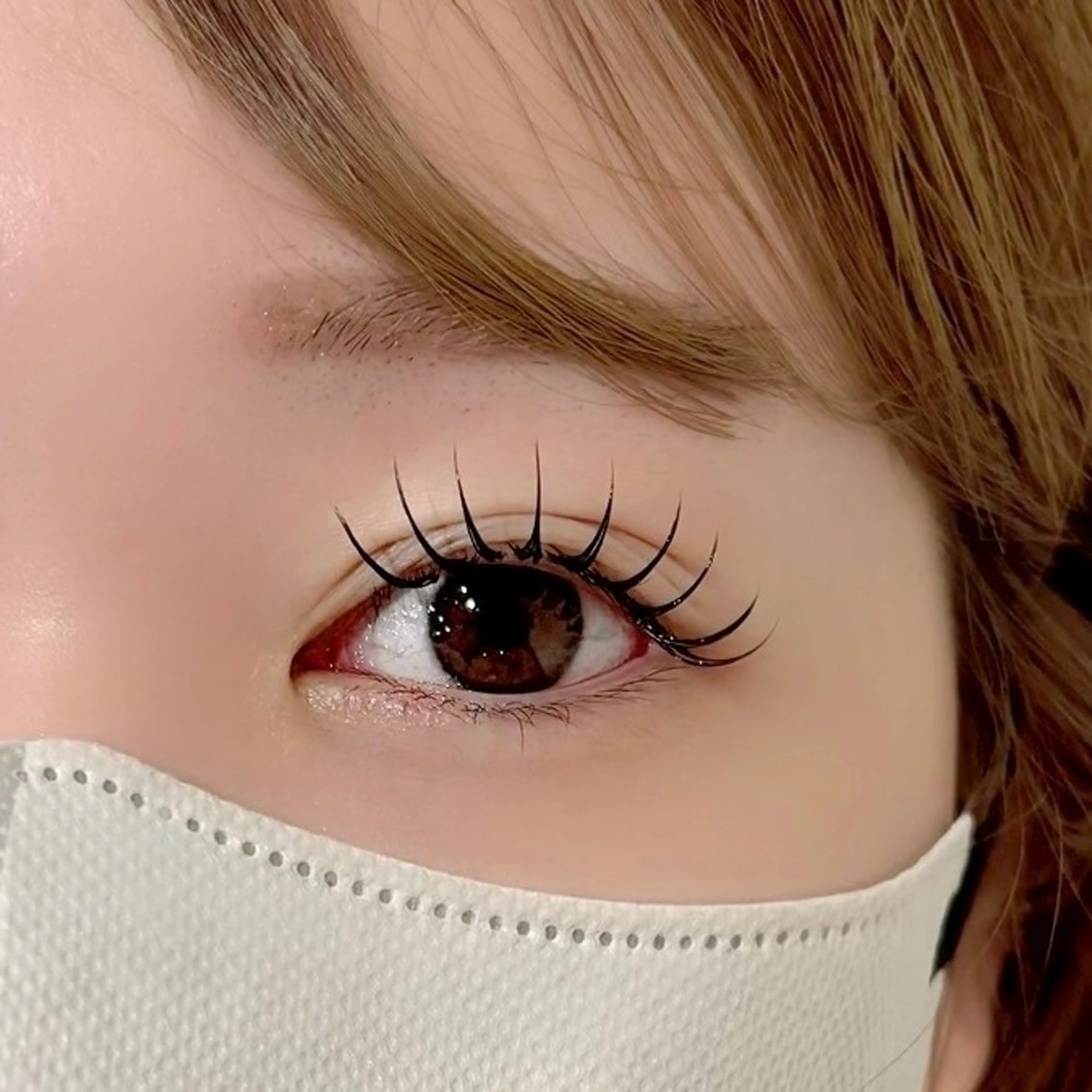 ˗ˏˋ ˎOnly Septemberˊ˗LED flat lash~100本🥯‧₊˚✩彡の写真