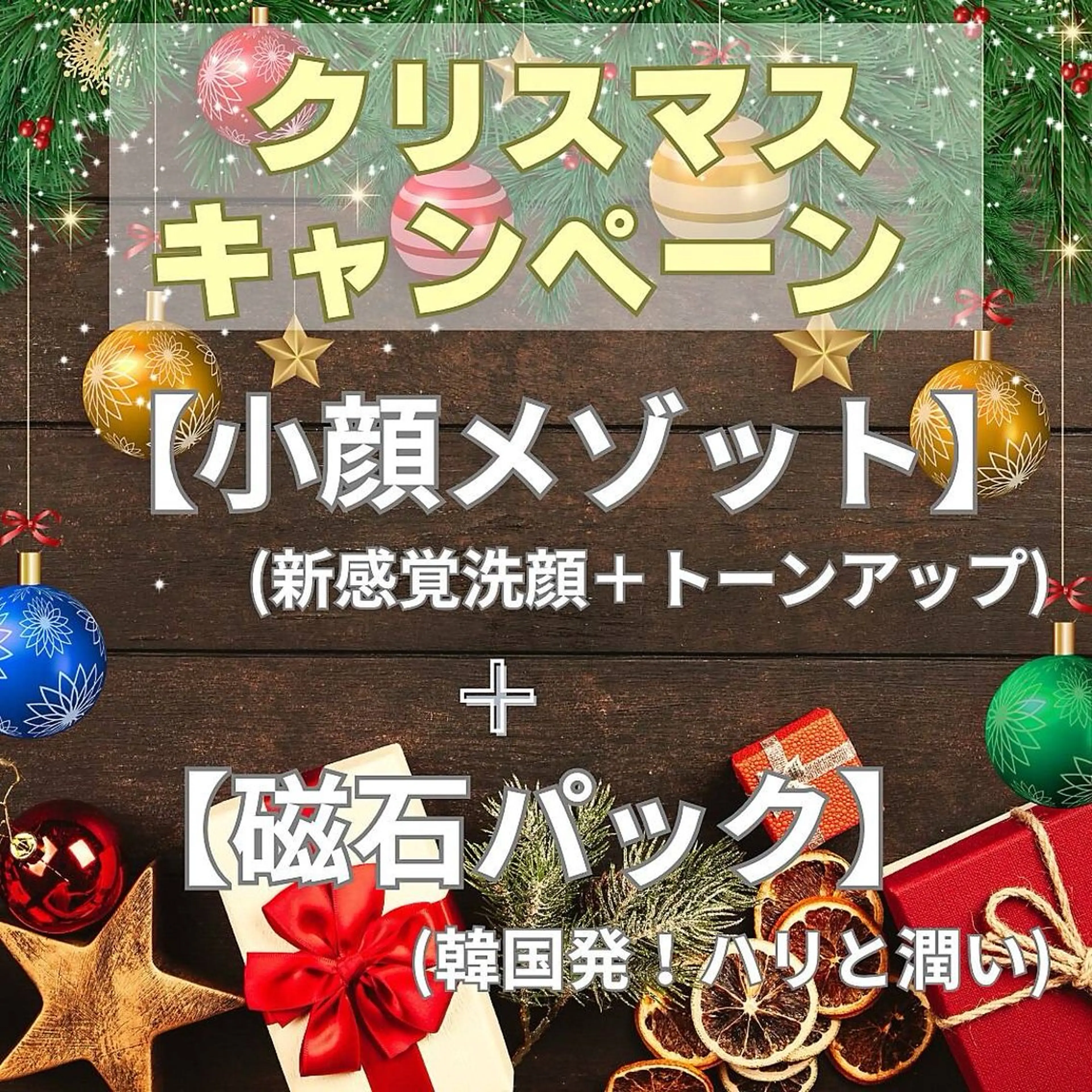 【クリスマス限定】新感覚!小顔洗顔×韓国発!磁石パック¥8800→¥6600の写真