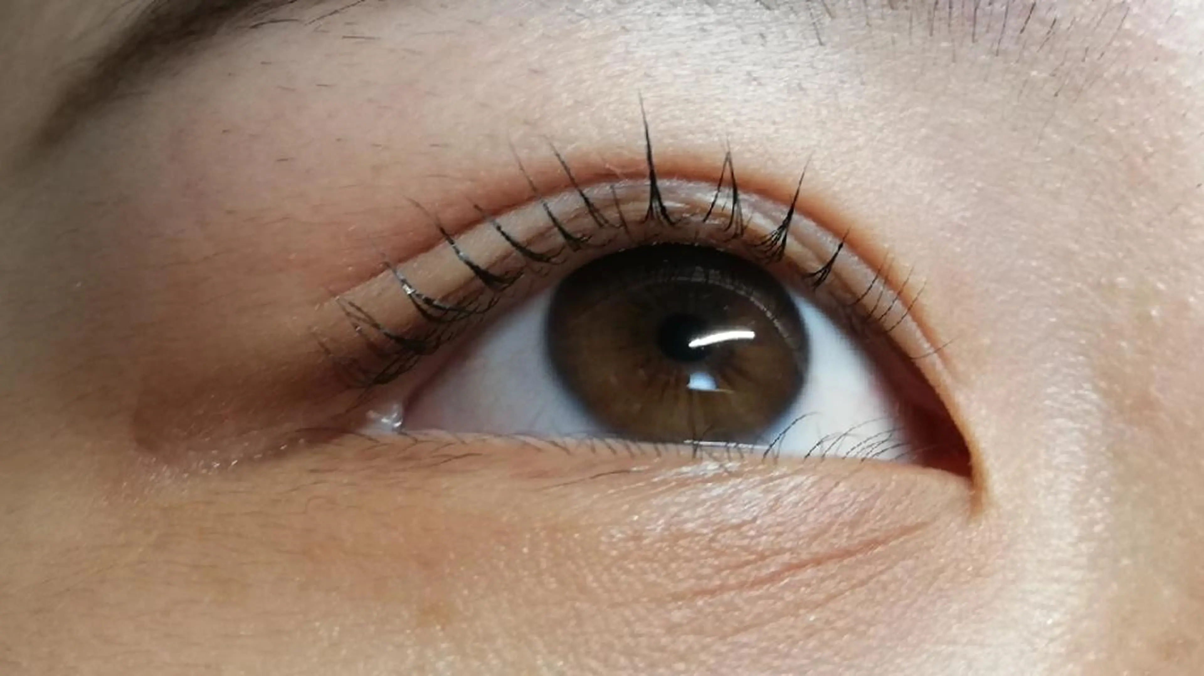 マツエク・マツパ angelux 所属・完全個室サロン🌹 angelux🌹のマツエク・マツパデザイン