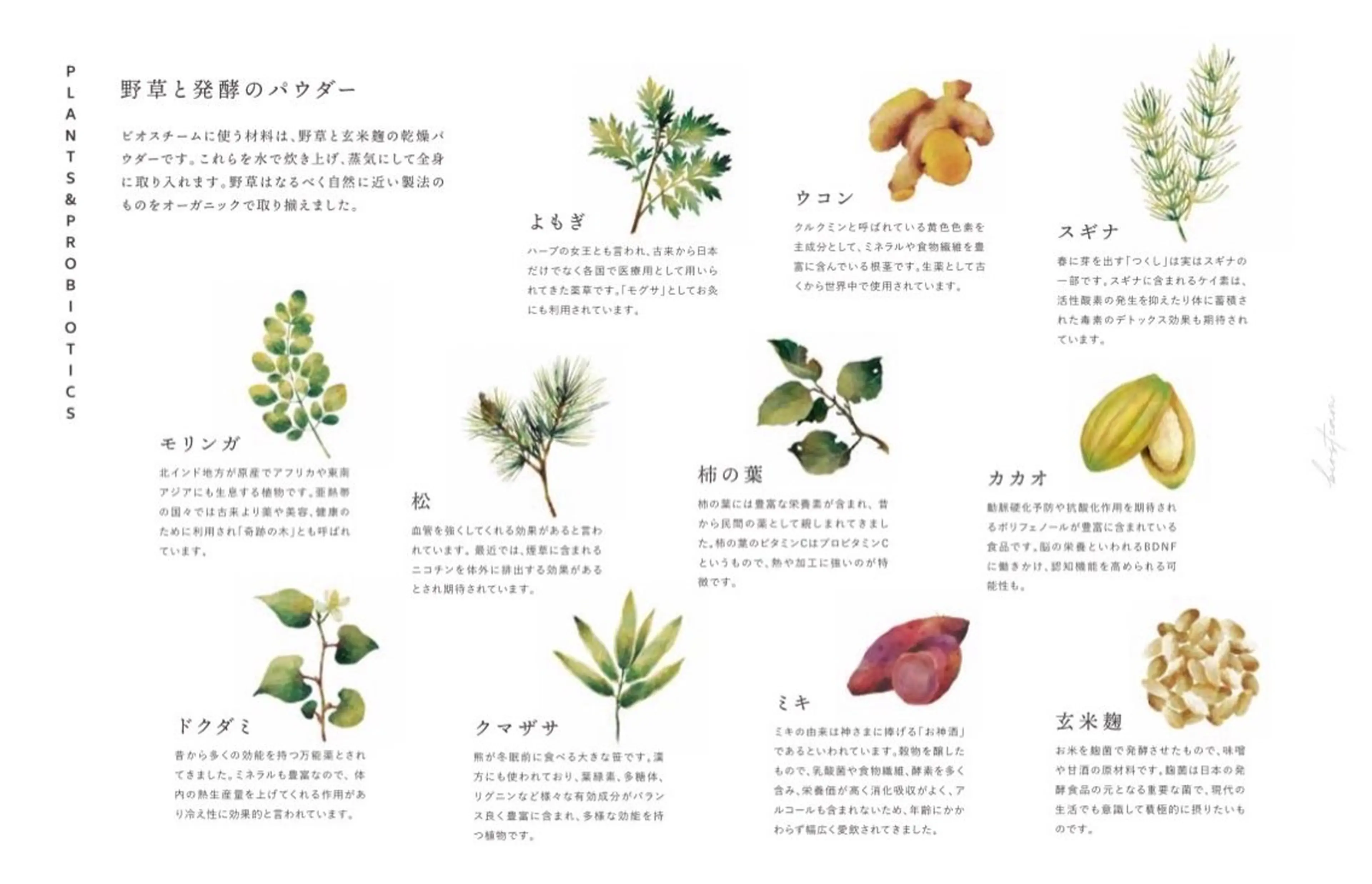 よもぎ蒸し×ハーブピーリング【foi】所属・foi🌿 MIHOのエステ・リラクイメージ