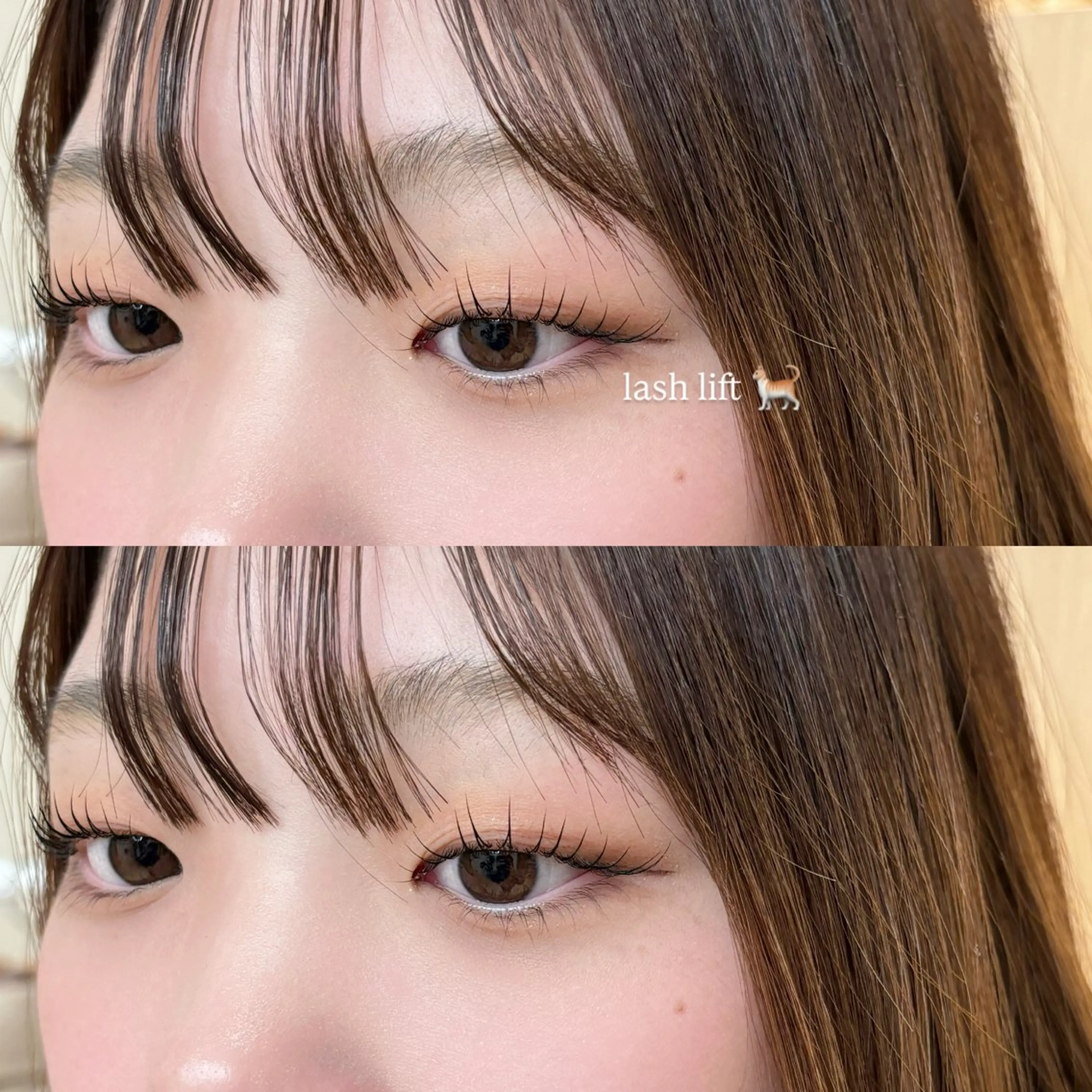 マツエク・マツパ マツパ 垢抜け眉WAX専門 ちゅるんまつげ|鎌倉の眉毛・アイブロウイメージ